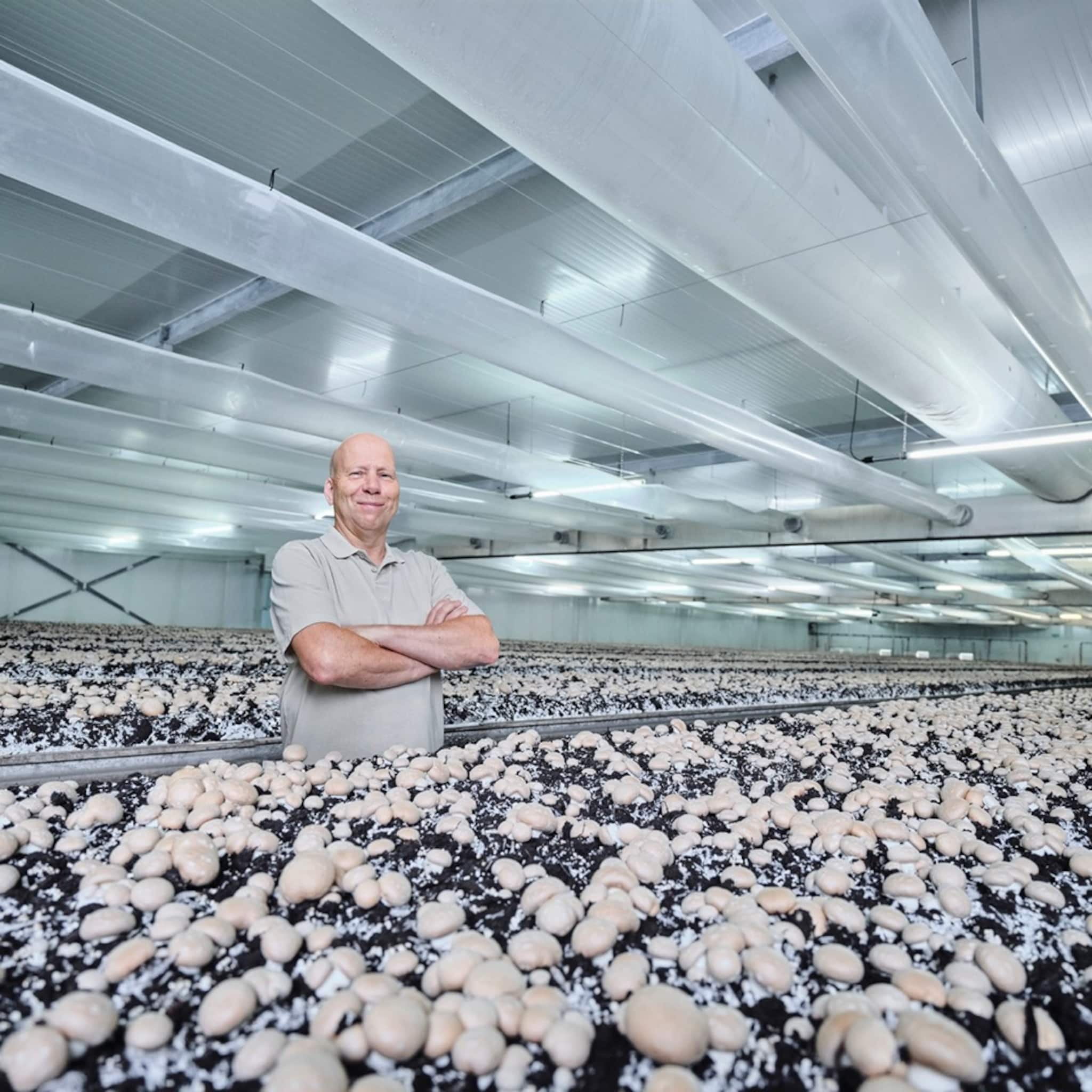 zo bereid je je als scale up voor op een verdubbeling van de productie