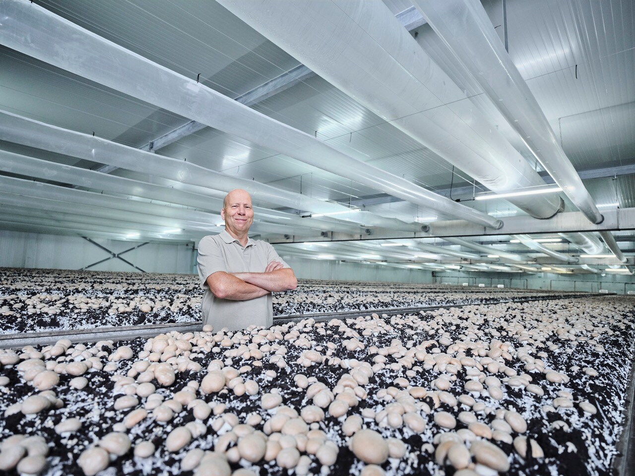 Deze stap geeft de champignonproducent beter inzicht in financiële en logistieke processen en legt de basis voor verdere groei. LEON VAN DEN BROEK