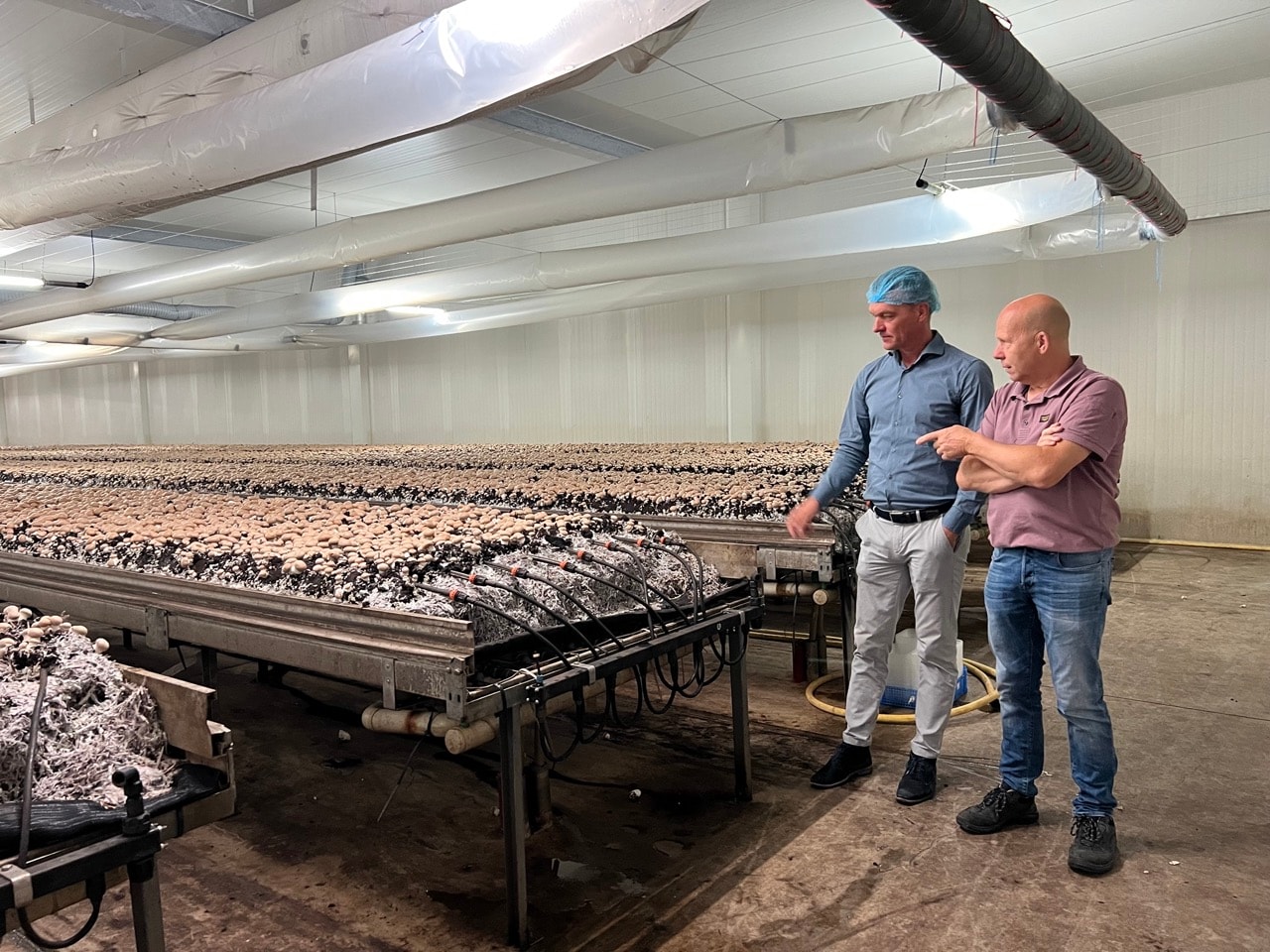 Deze stap geeft de champignonproducent beter inzicht in financiële en logistieke processen en legt de basis voor verdere groei. Trudy Robbemondt