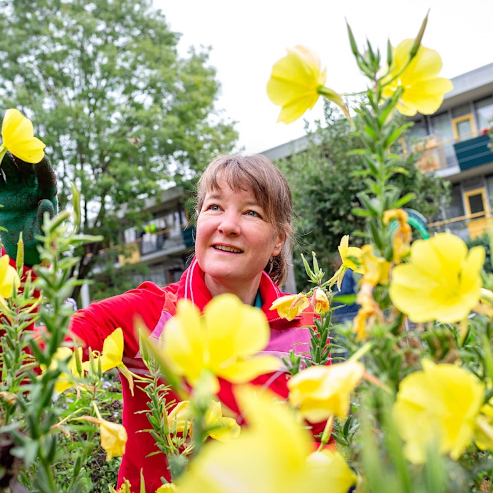 triodos bank geld bankieren duurzaam klimaat betere wereld
