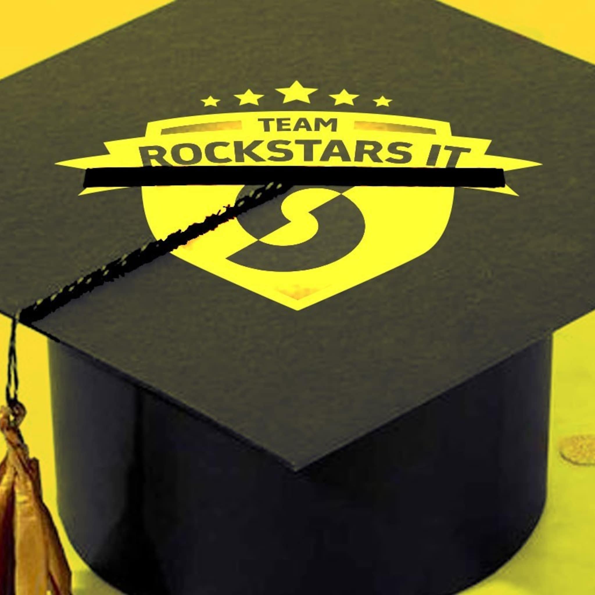 team rockstars it simone van erp top250 groeibedrijven nlgroeit