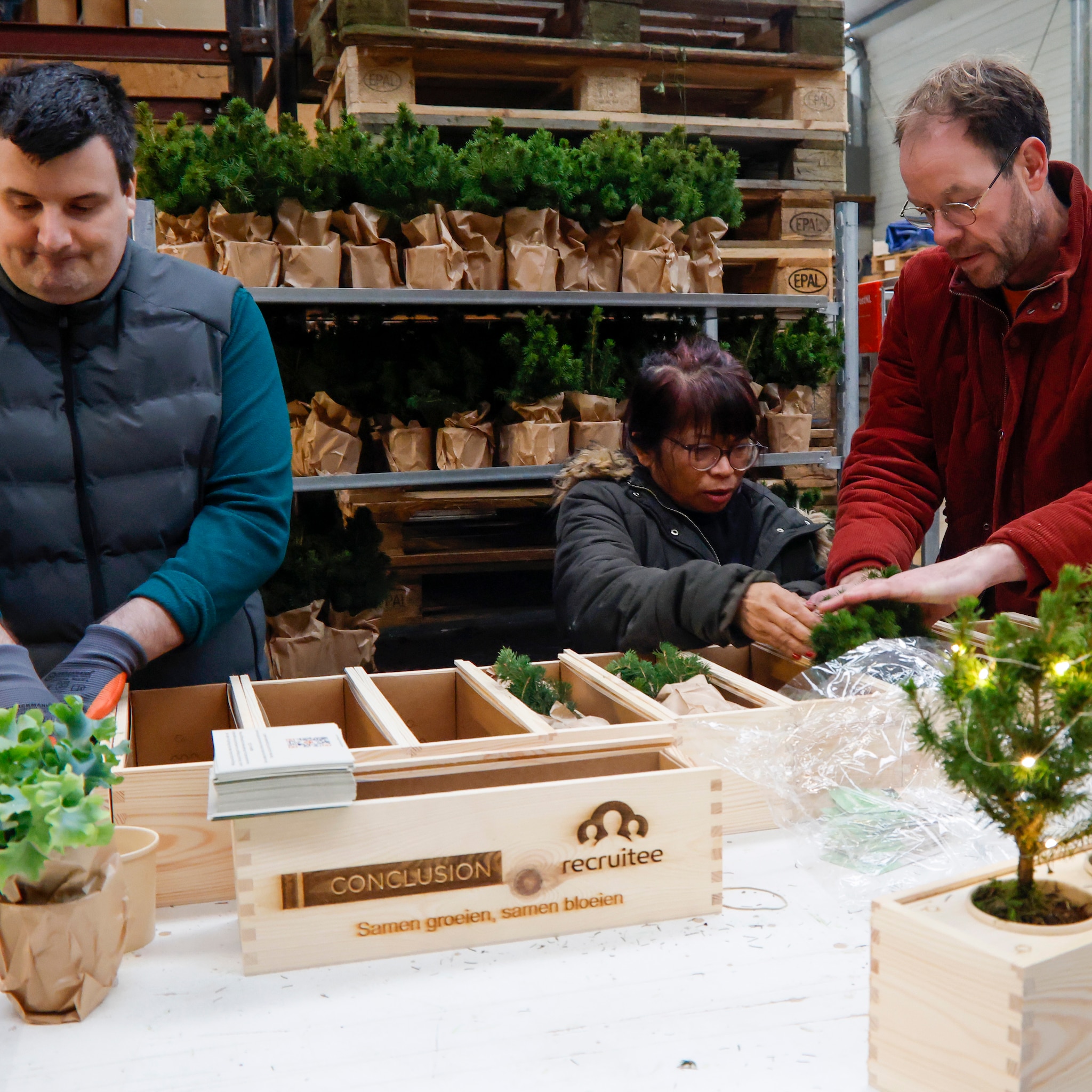 blooms out of the box bosje bloemen alternatief