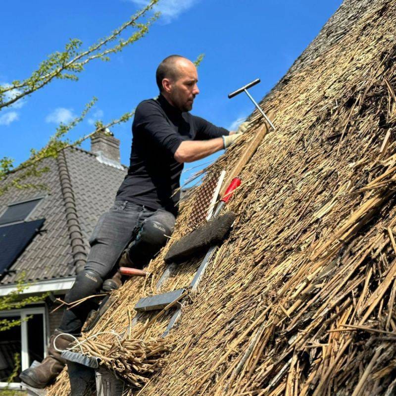 Foto: eigen beeld Foto: eigen beeld