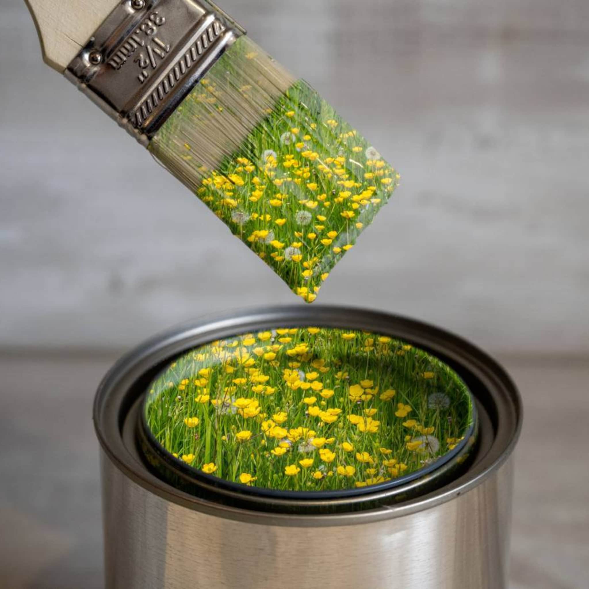 duurzaamheidscommunicatie greenwashing misleiding acm boetes groene praatjes jellien roelofs