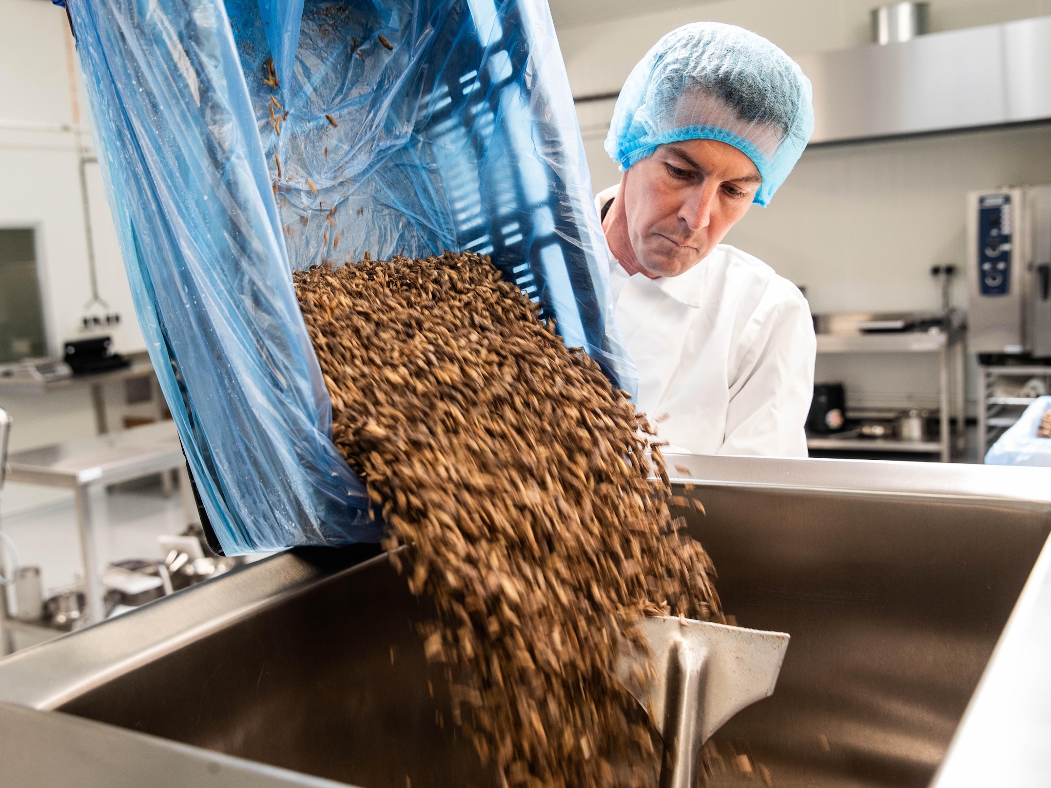 frank maakt burgers van insecten maar die zie je niet mensen willen ook geen koeienkop op hun bord