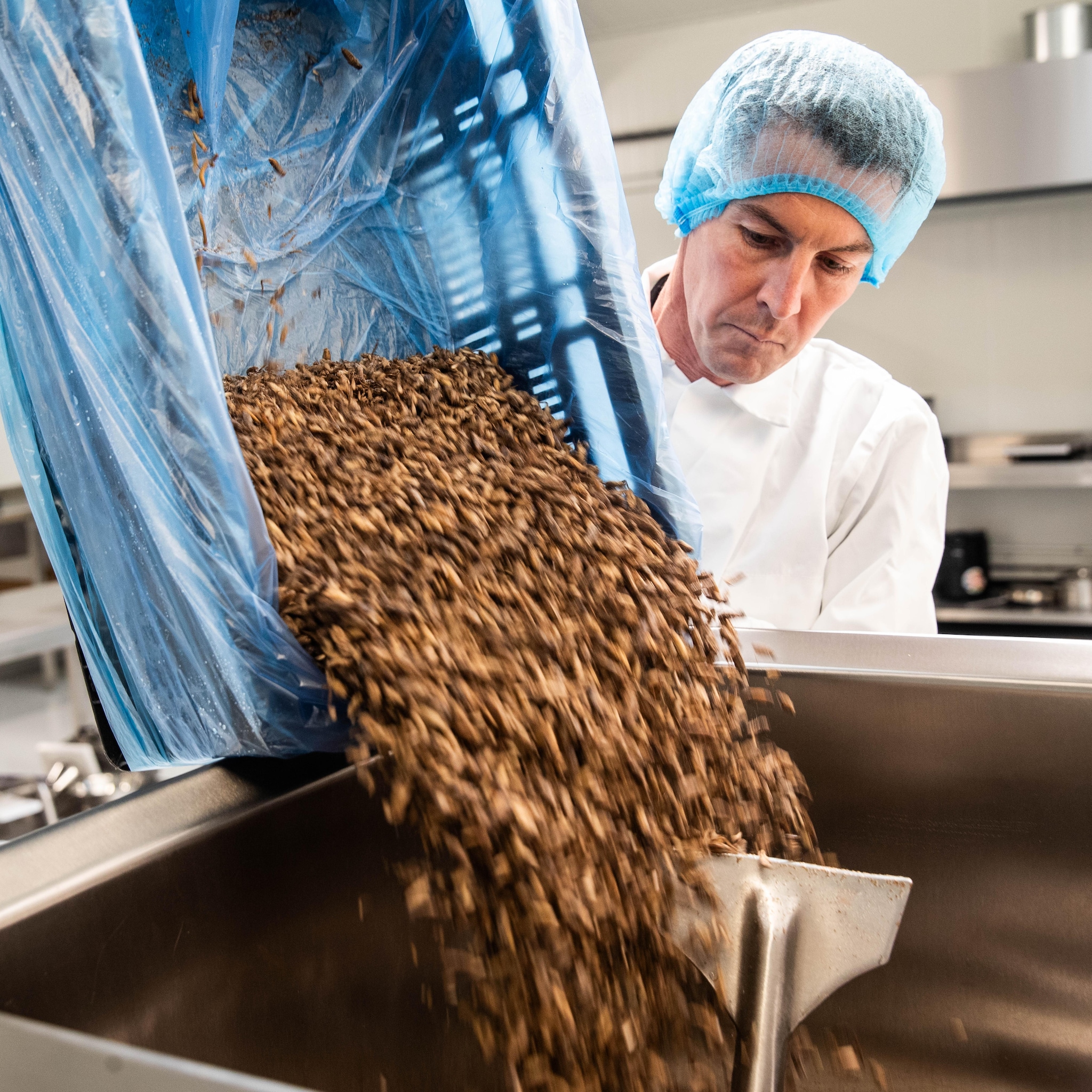frank maakt burgers van insecten maar die zie je niet mensen willen ook geen koeienkop op hun bord