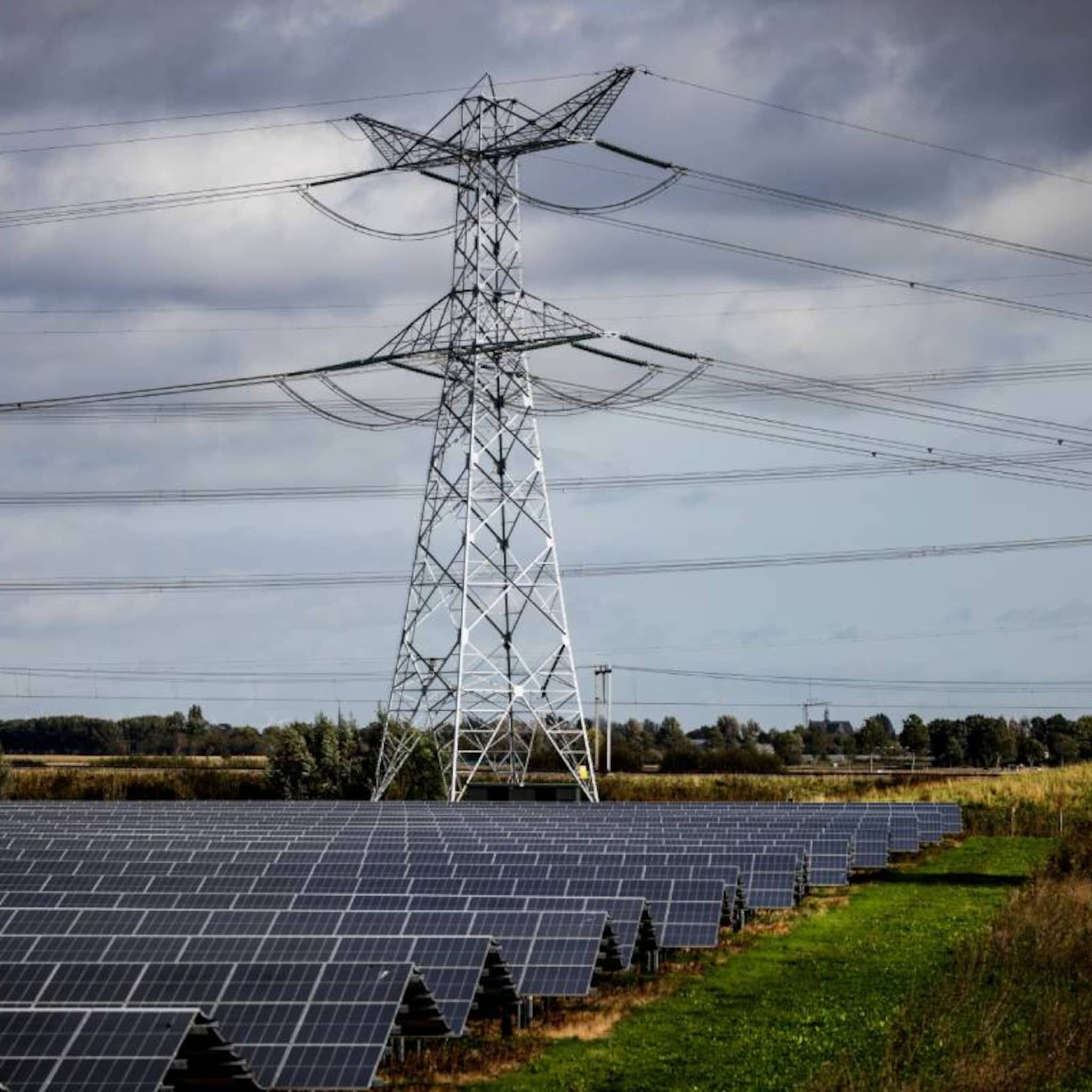 overvol stroomnet miljarden schade nederlandse economie batterijen ondernemers netcongestie