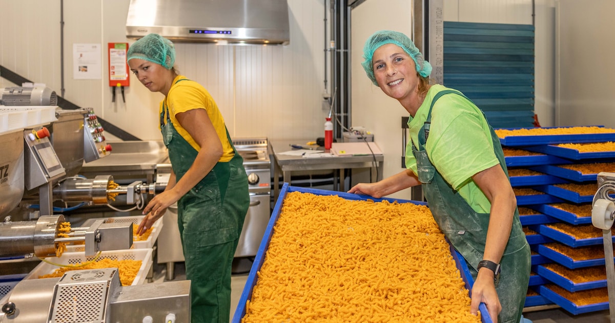 Zeeland zet in op startups: ondernemers Linsie, Maarten en Eric nemen het voortouw