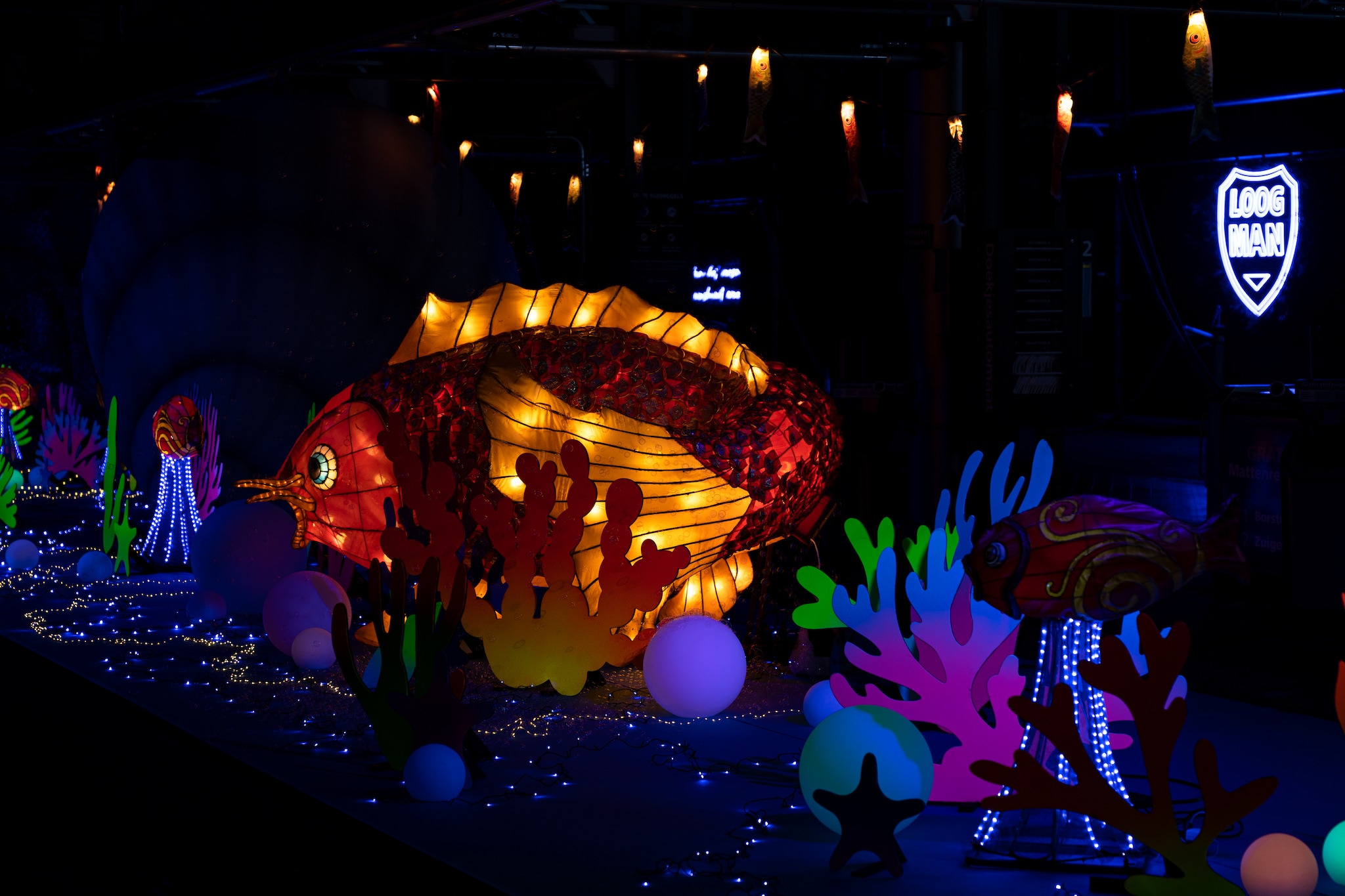 Lightfestival Loogman Lightfestival Loogman