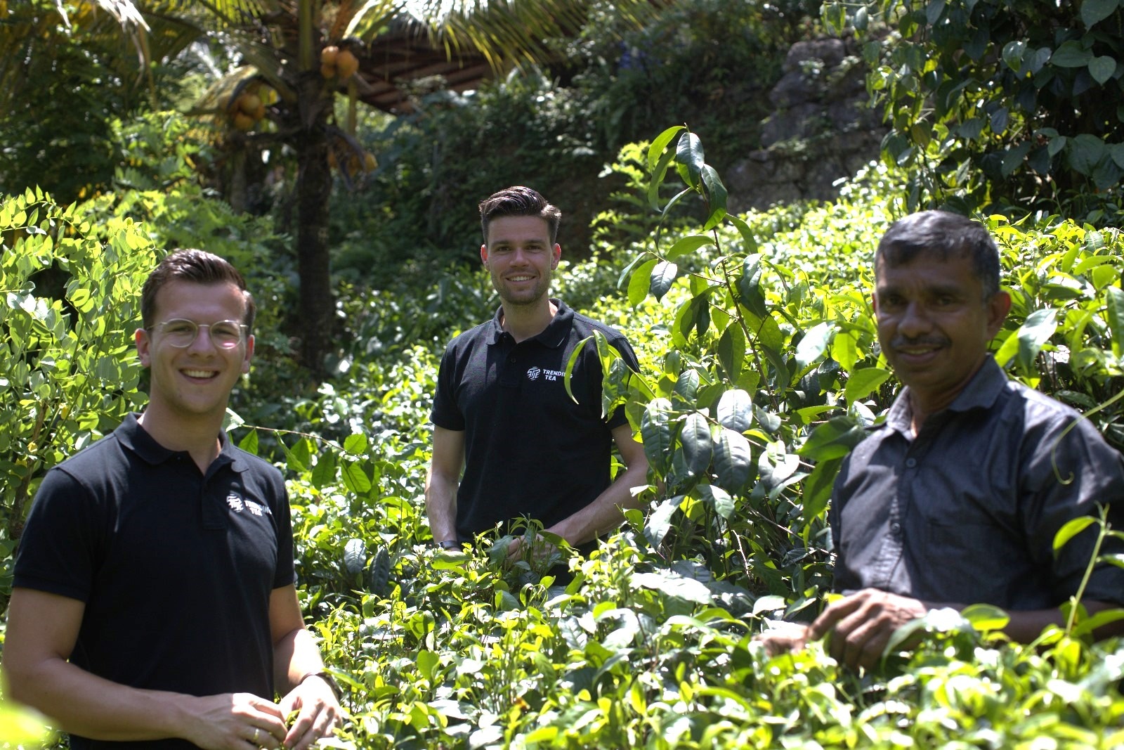 Niels Schutter (links), Roeland Veen (midden) en W.G. Rupasingha (één van de Sri Lankaanse boeren, rechts) en in Sri Lanka voor hun bedrijf TrendingTea. Foto: eigen beeld. Niels Schutter (links), Roeland Veen (midden) en W.G. Rupasingha (één van de Sri Lankaanse boeren, rechts) en in Sri Lanka voor hun bedrijf TrendingTea. Foto: eigen beeld.