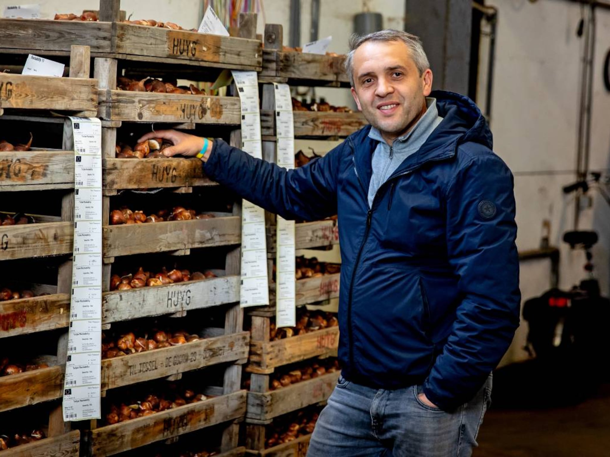 amazon dutch bulbs vitaly tonenchuk marketplace