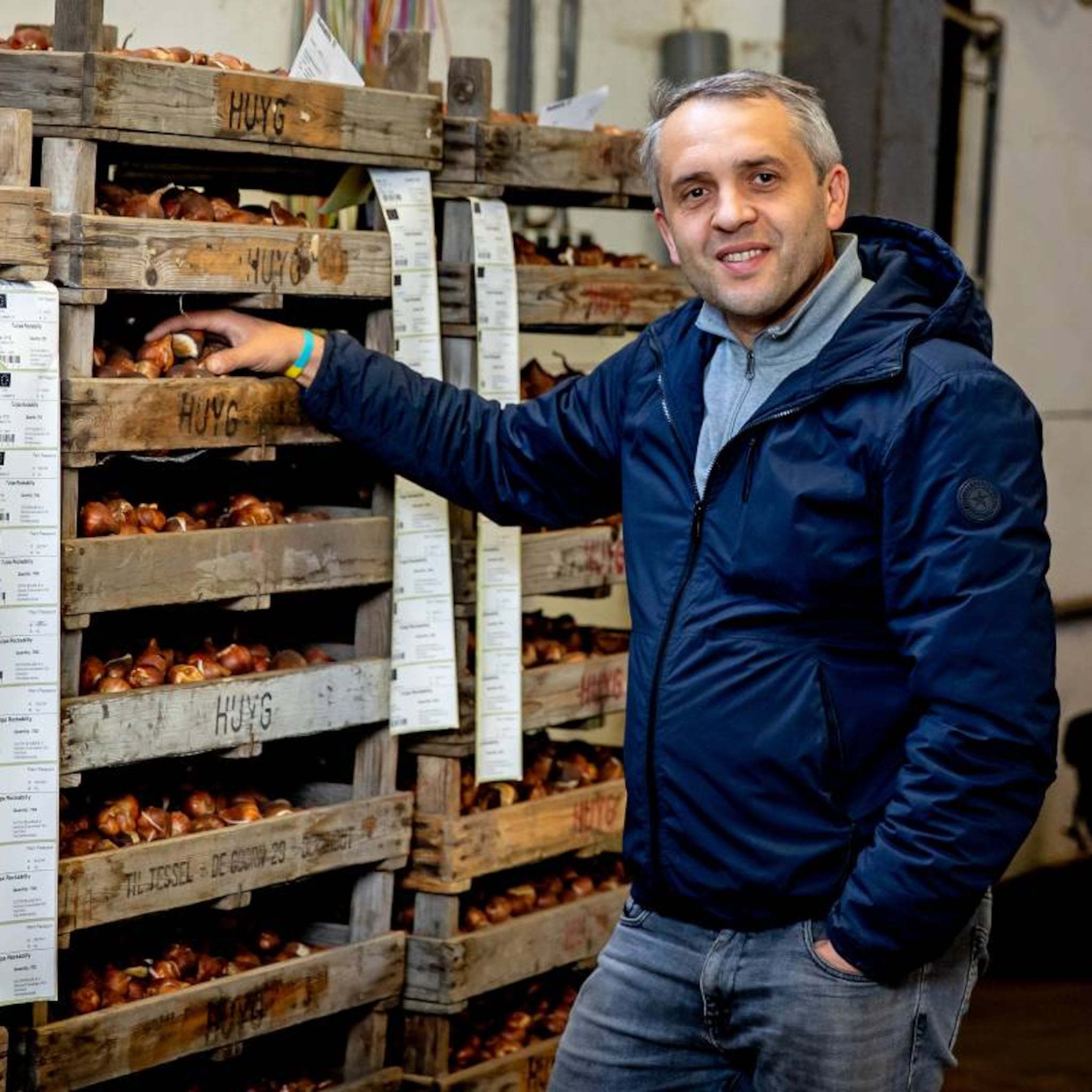 amazon dutch bulbs vitaly tonenchuk marketplace