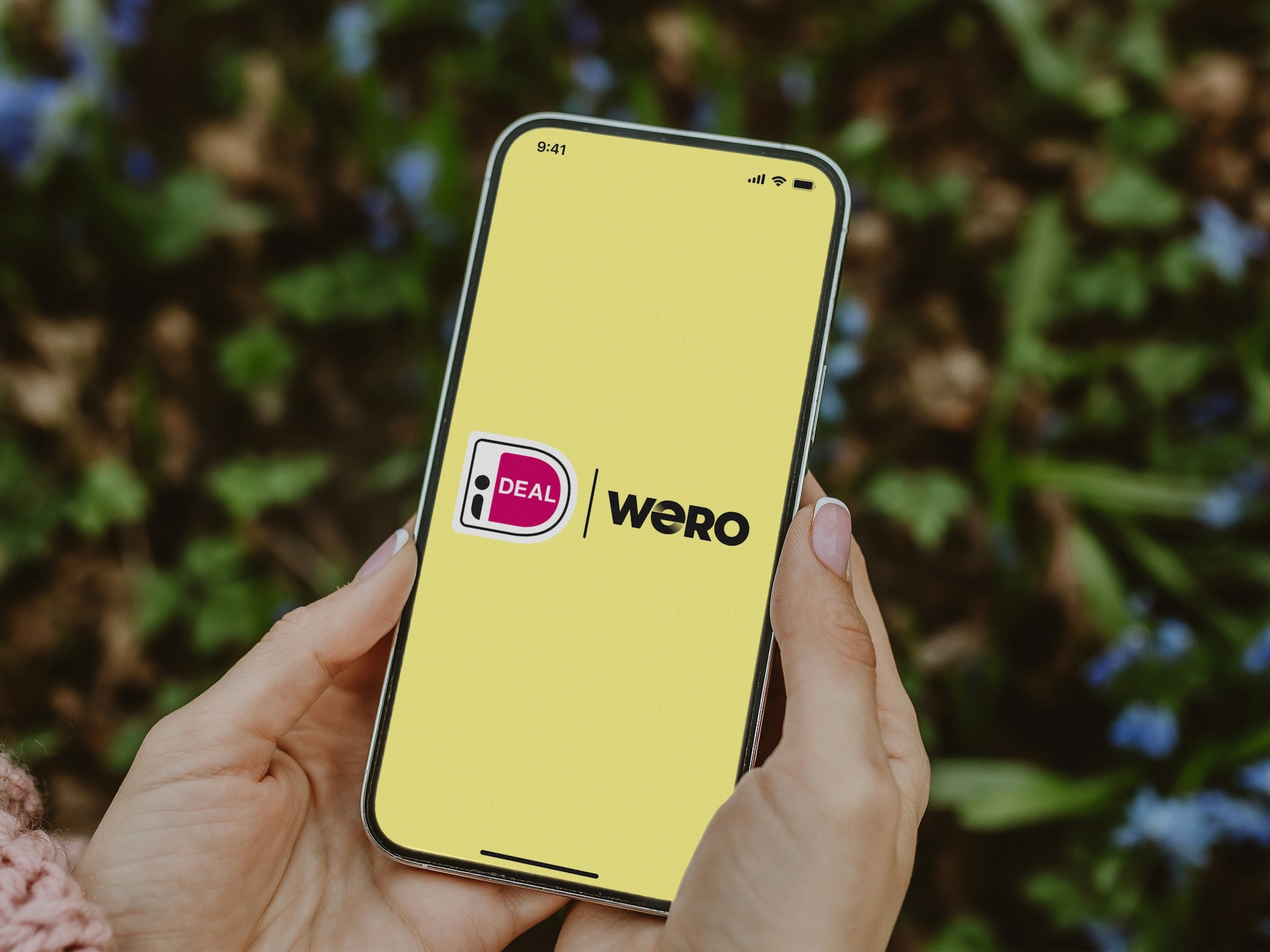 ideal wero payment service provider currence europese soevereiniteit