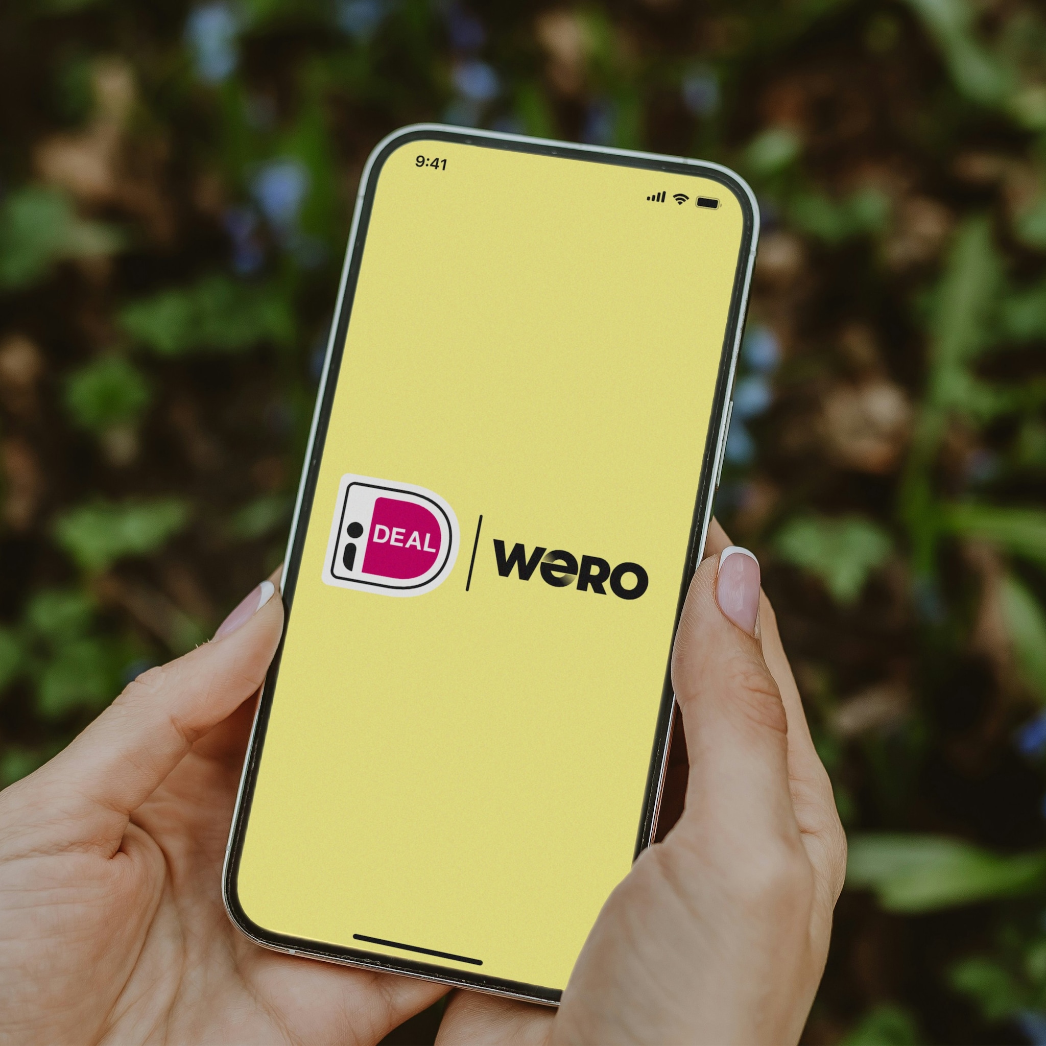 ideal wero payment service provider currence europese soevereiniteit