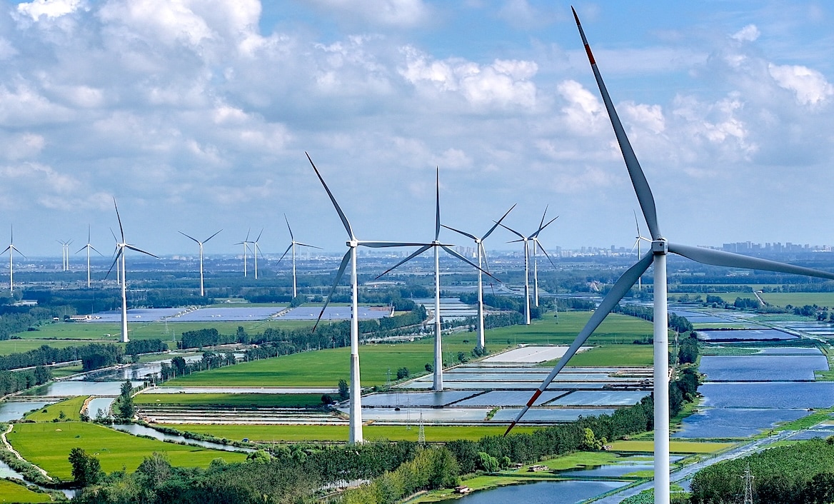 Windmolenpark. ANP/AFP | Windmolenpark