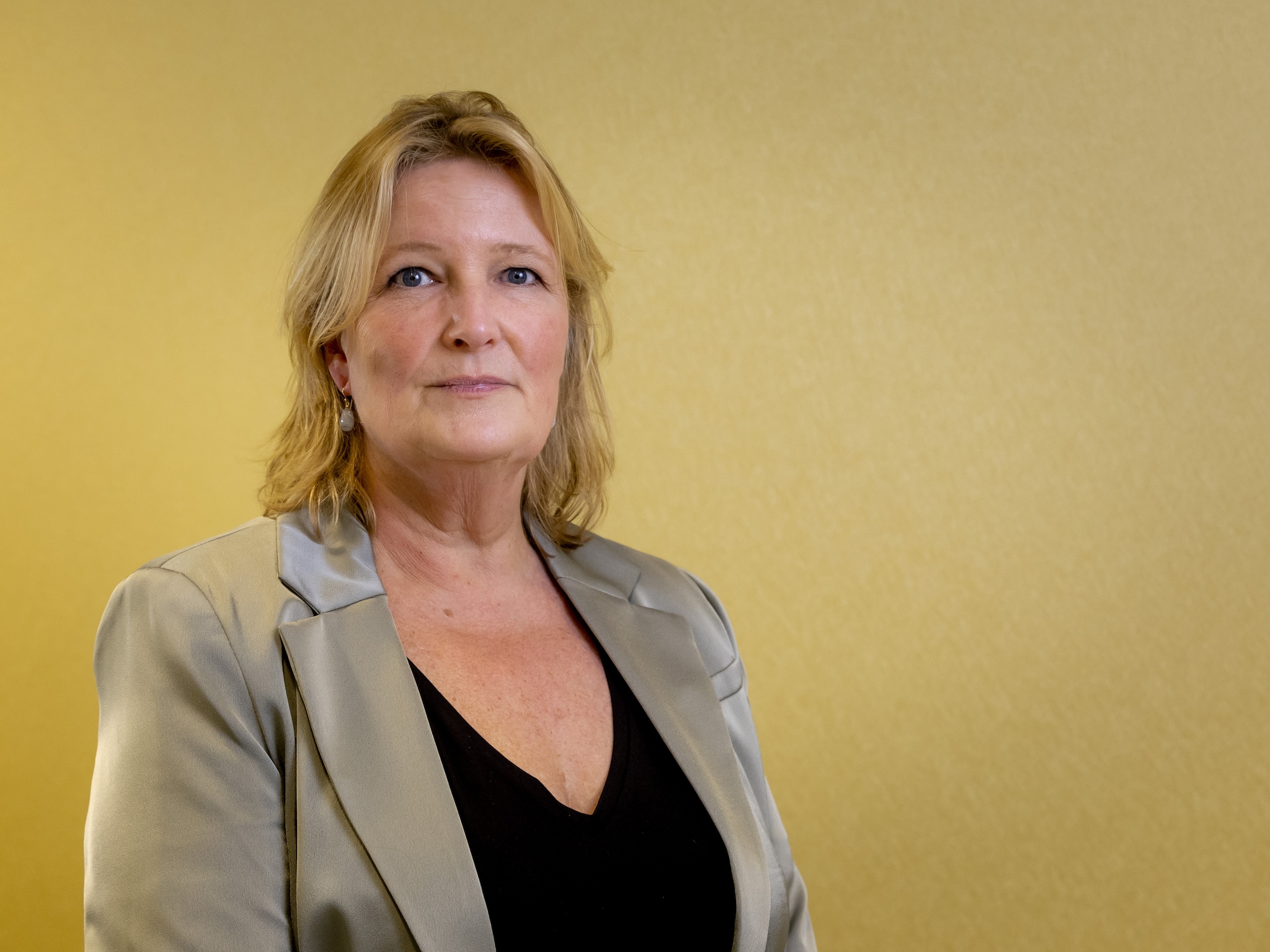 patijn groenlinkspvda zzp vbar aov zelfstandigenwet schijnzelfstandigheid
