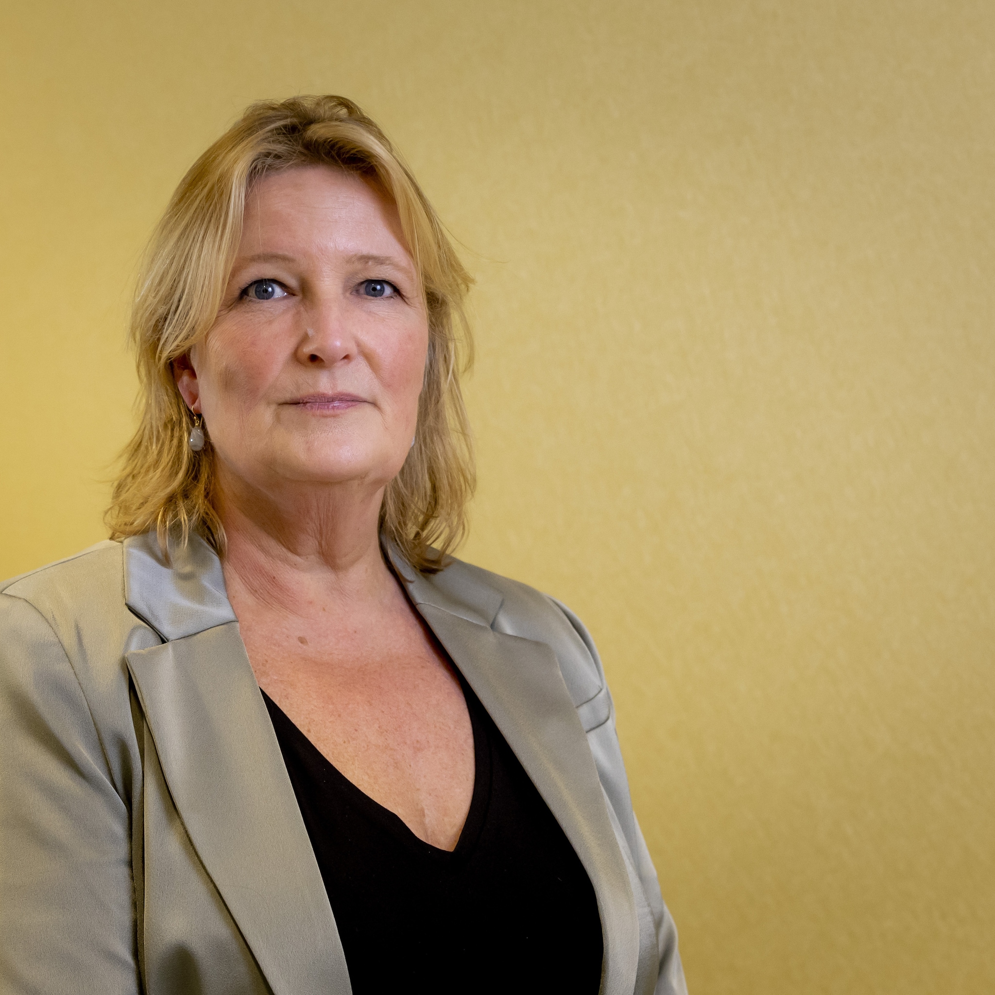 patijn groenlinkspvda zzp vbar aov zelfstandigenwet schijnzelfstandigheid