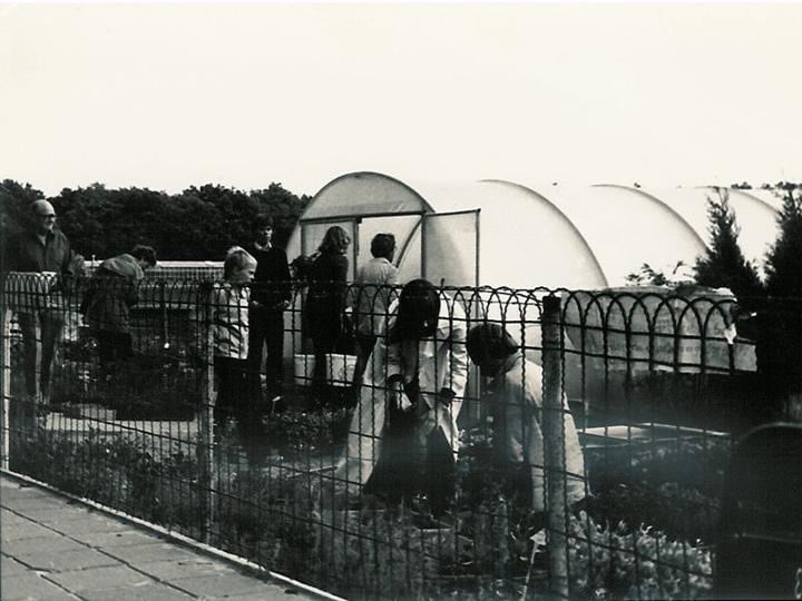 Zo begon tuincentrum De Bosrand: met een plastic tunnelkas op een veld in Wassenaar.  Zo begon tuincentrum De Bosrand: met een plastic tunnelkas op een veld in Wassenaar. Privébeeld