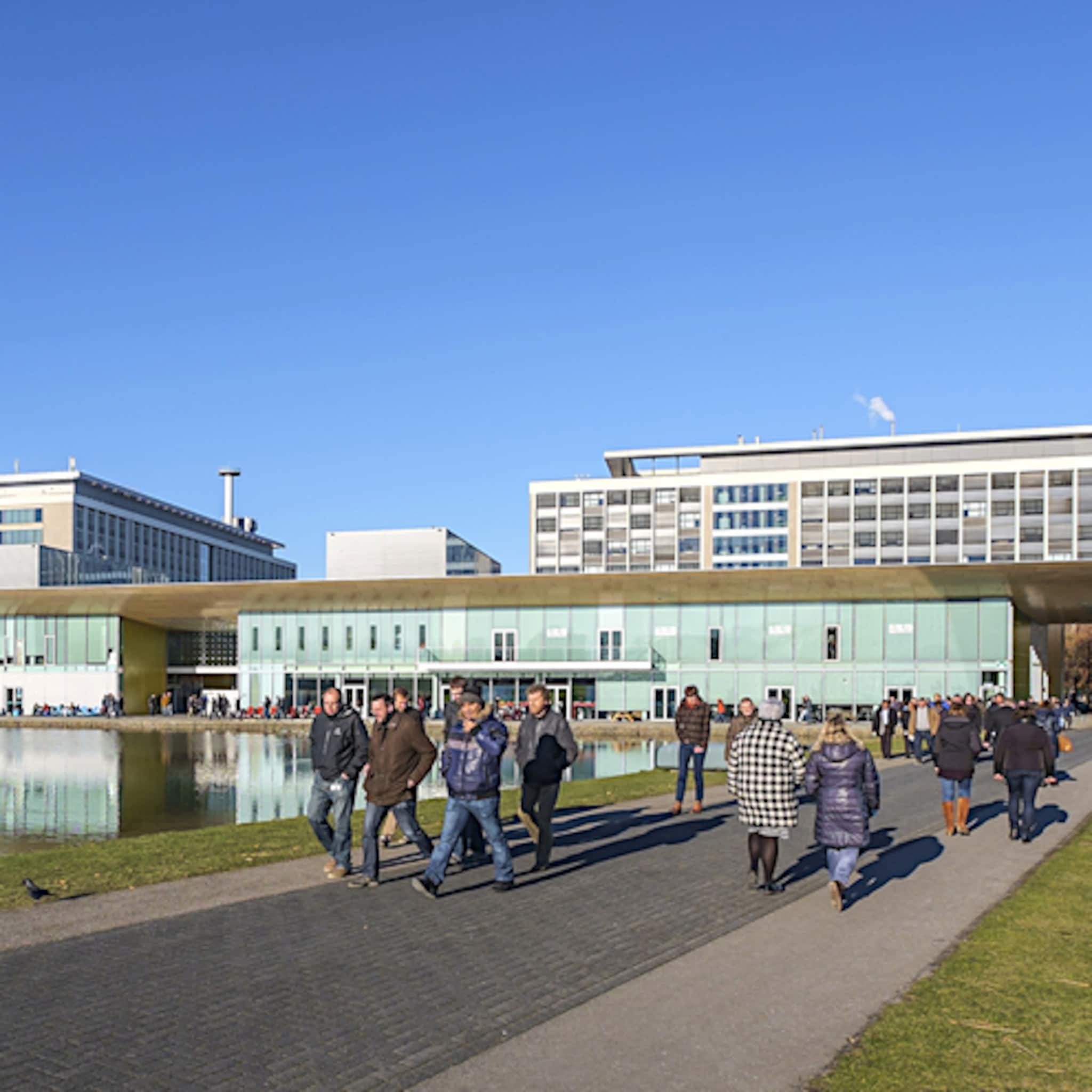 expats brainport eindhoven expat housing taalschool verhuisservice belastingadvies kenniswerkers