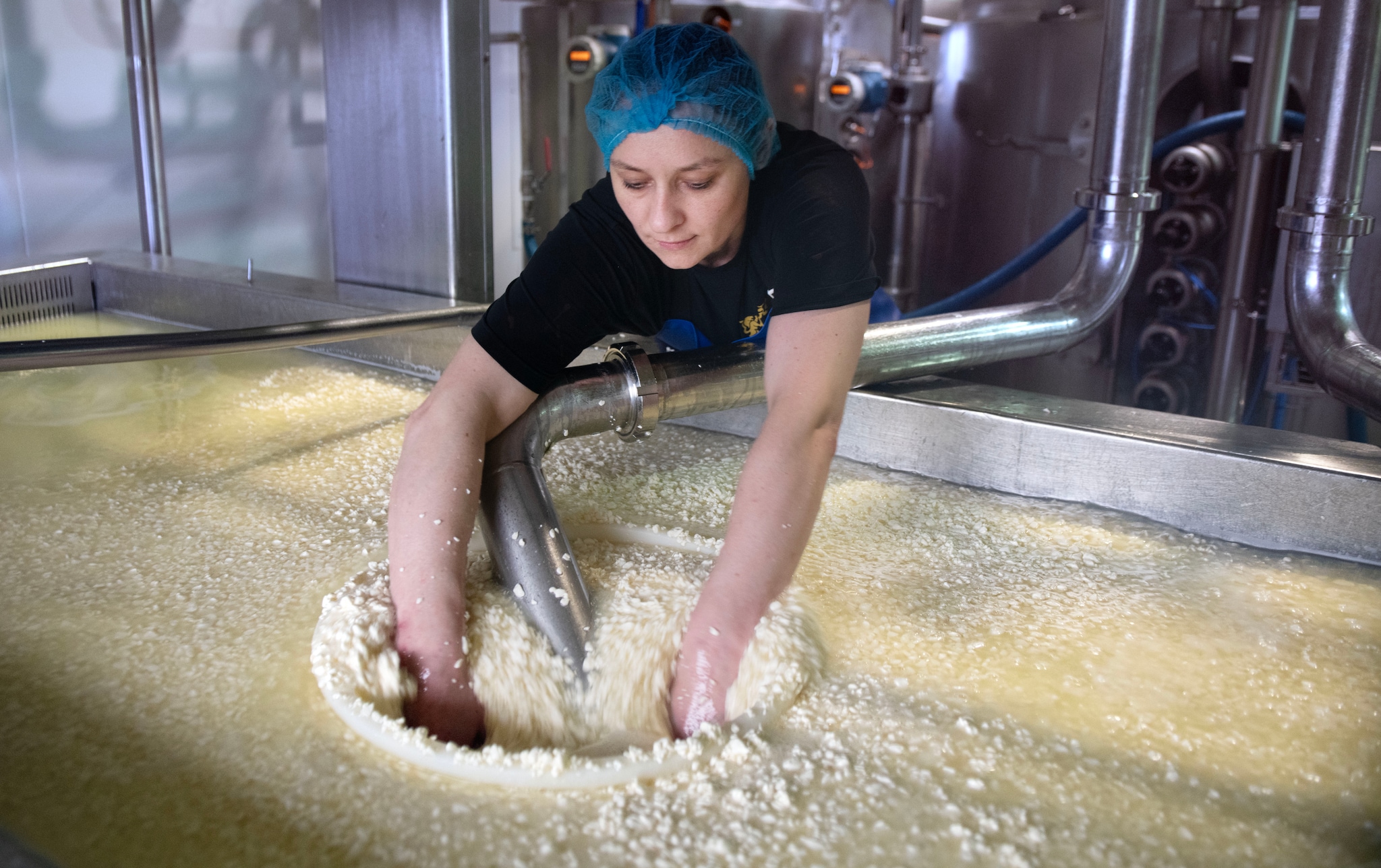 De wrongel: de romige massa die ontstaat wanneer melk stremt en het hart vormt van elke kaas die bij boer Slob wordt gemaakt. De wrongel: de romige massa die ontstaat wanneer melk stremt en het hart vormt van elke kaas die bij boer Slob wordt gemaakt. Foto: William Hoogteyling