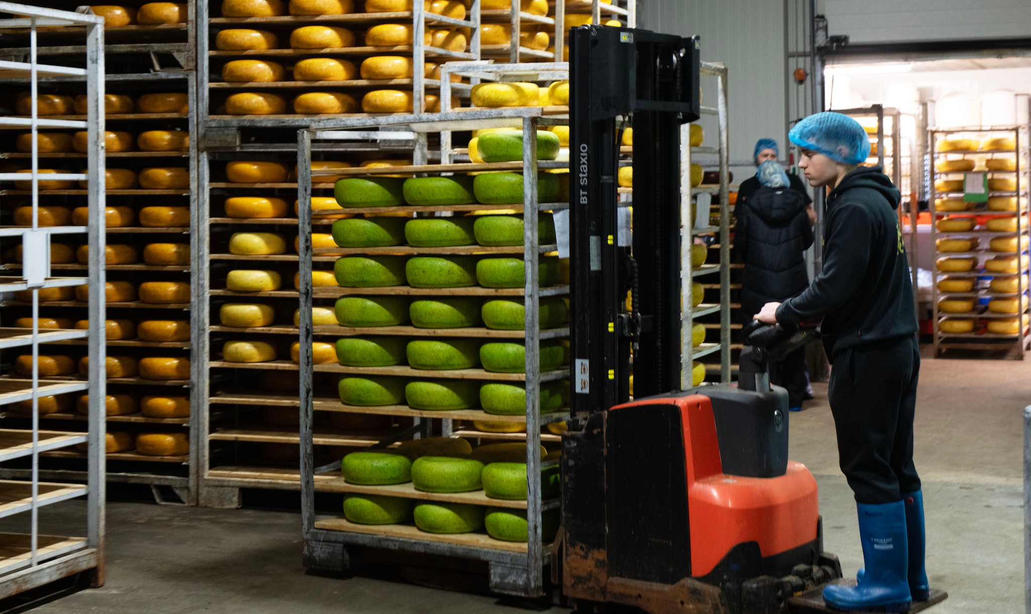 Rijen kazen rijpen in hoge stellages in de kaasmakerij in Giessenburg, waar zeven dagen per week op volle toeren wordt geproduceerd. Rijen kazen rijpen in hoge stellages in de kaasmakerij in Giessenburg, waar zeven dagen per week op volle toeren wordt geproduceerd. Foto: William Hoogteyling