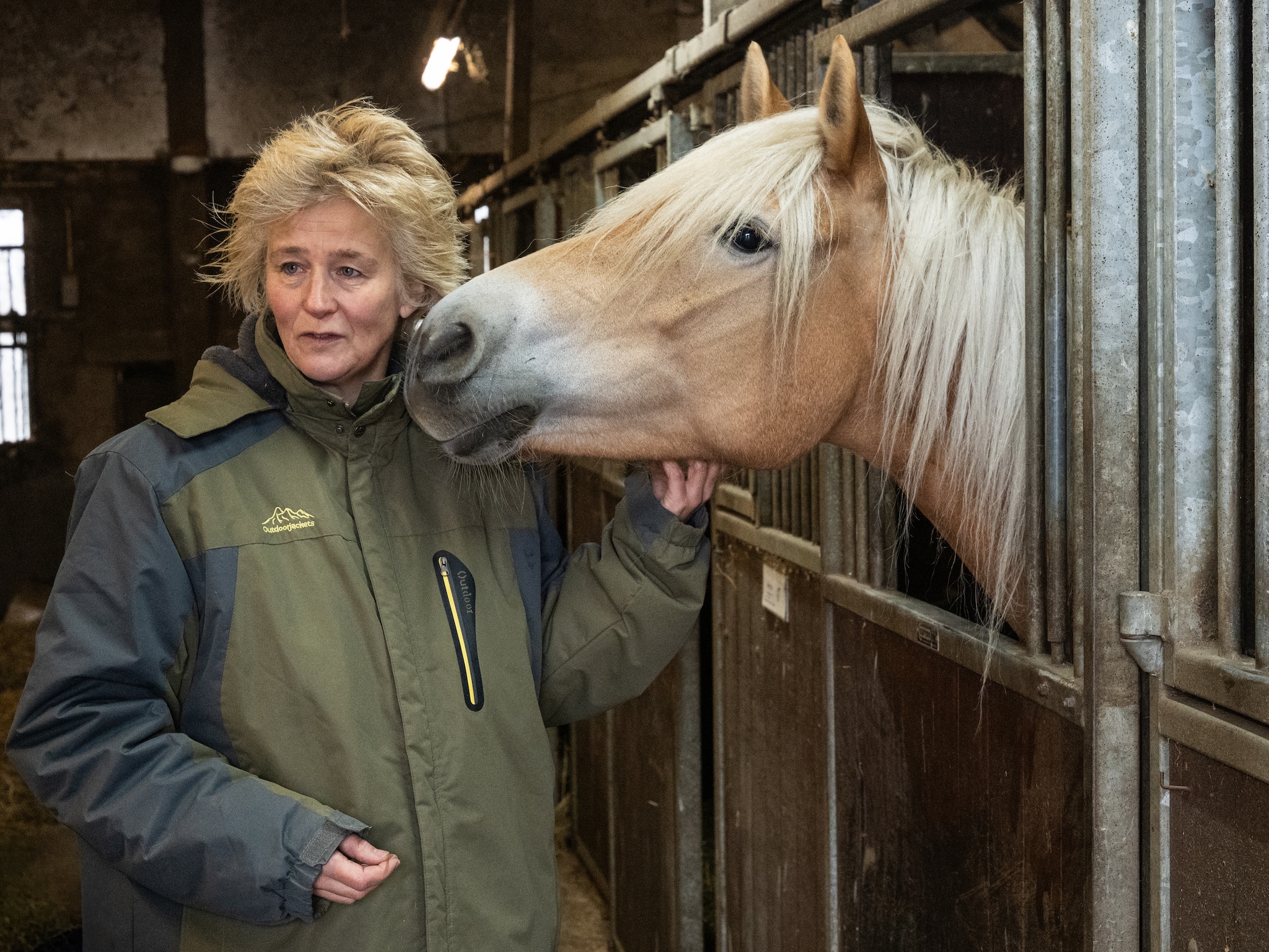 paardenmelk judith bouw melk paarden nicheproduct