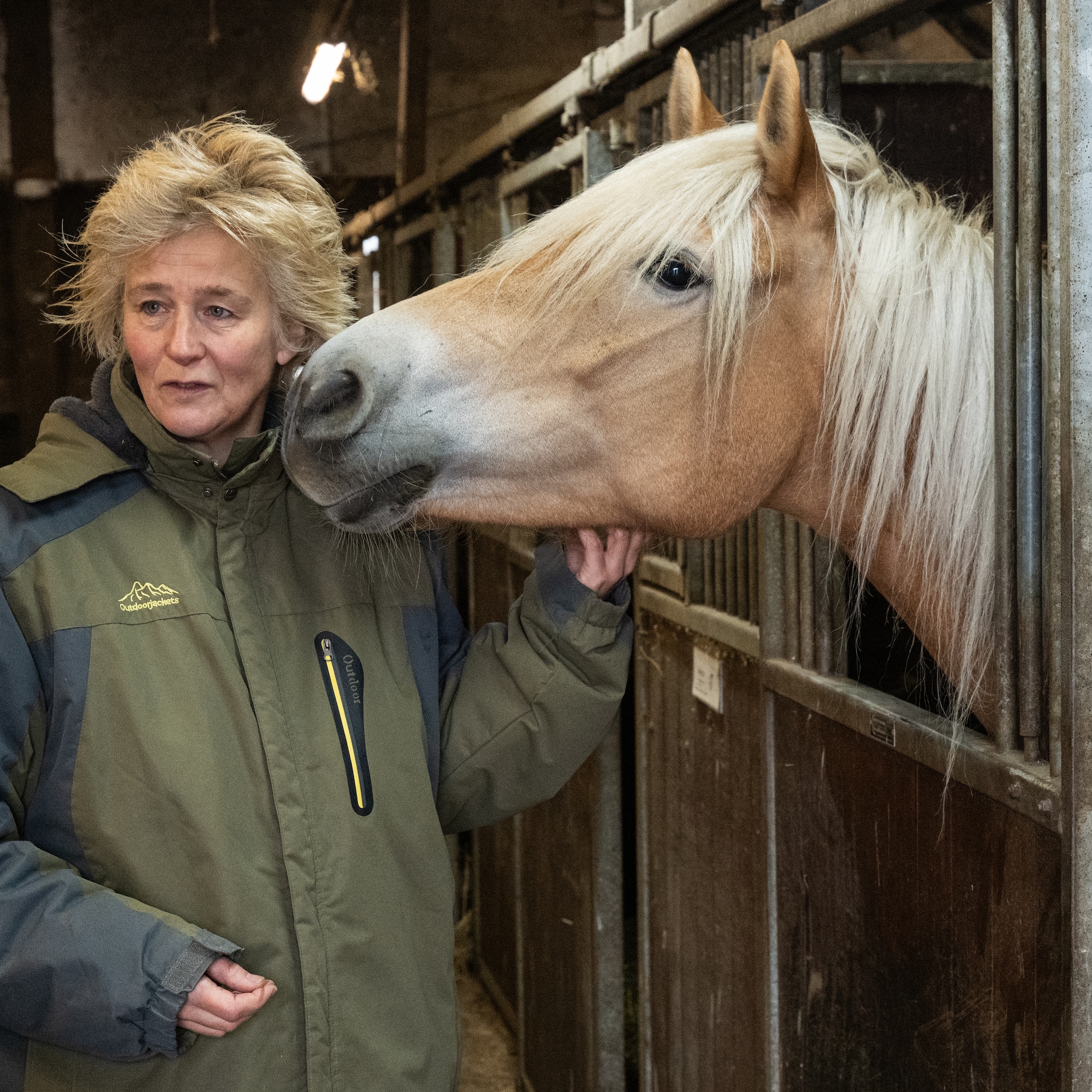 paardenmelk judith bouw melk paarden nicheproduct