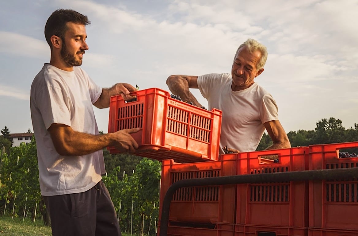 De missie van Onwine is vanaf dag één onveranderd: de wijnwereld openbreken door consumenten direct bij de wijnboer te laten kopen. Onwine | De missie van Onwine is vanaf dag één onveranderd: de wijnwereld openbreken door consumenten direct bij de wijnboer te laten kopen.