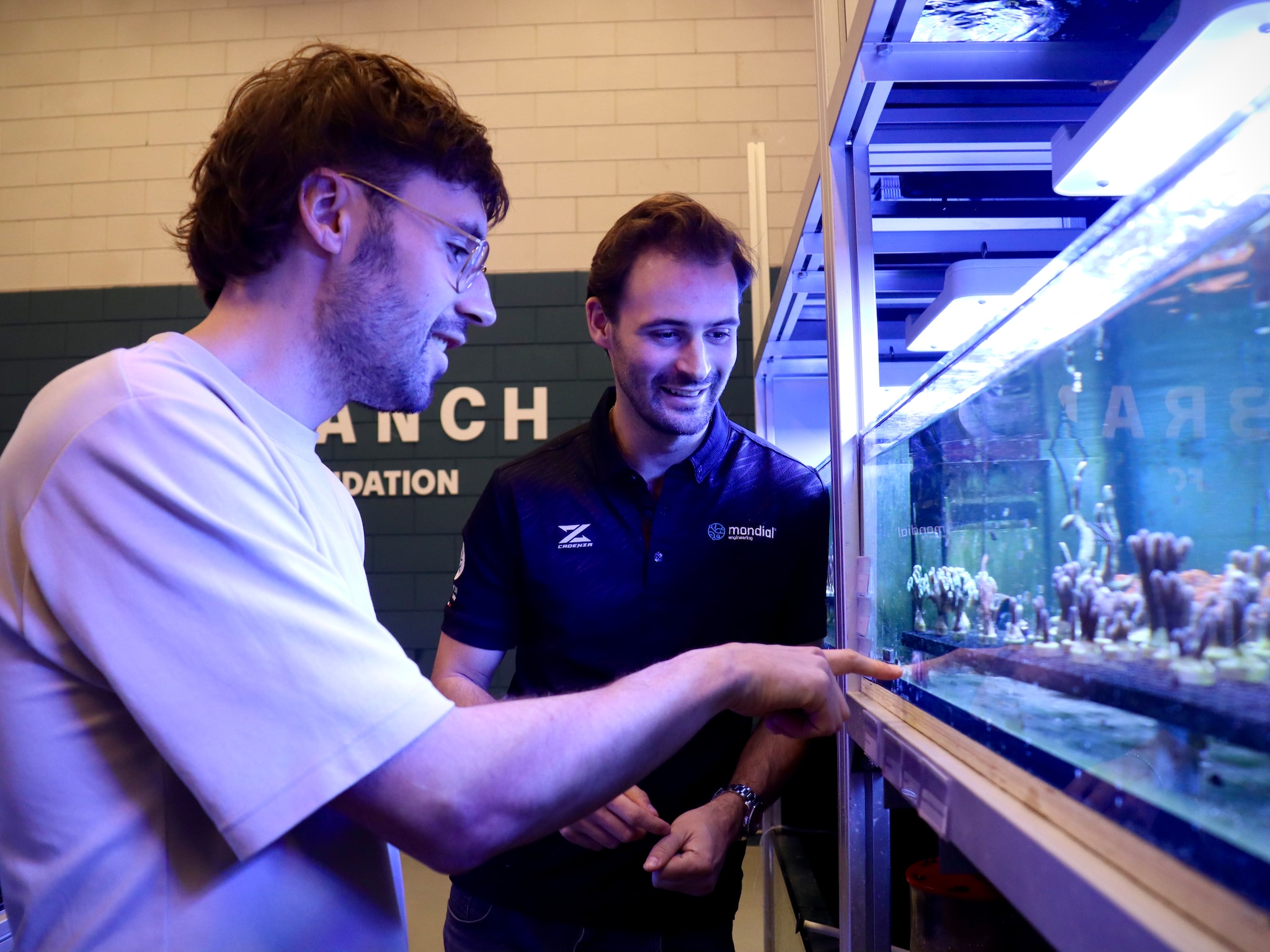 branch foundation breda startup koraalrif riffen redding