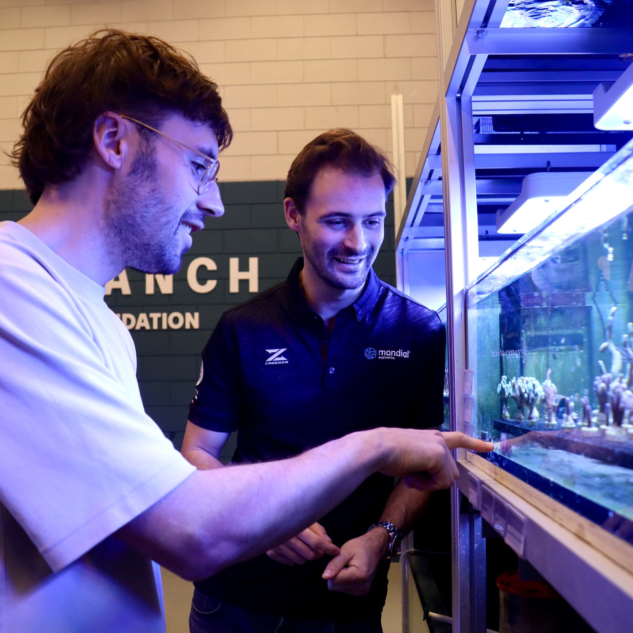 branch foundation breda startup koraalrif riffen redding