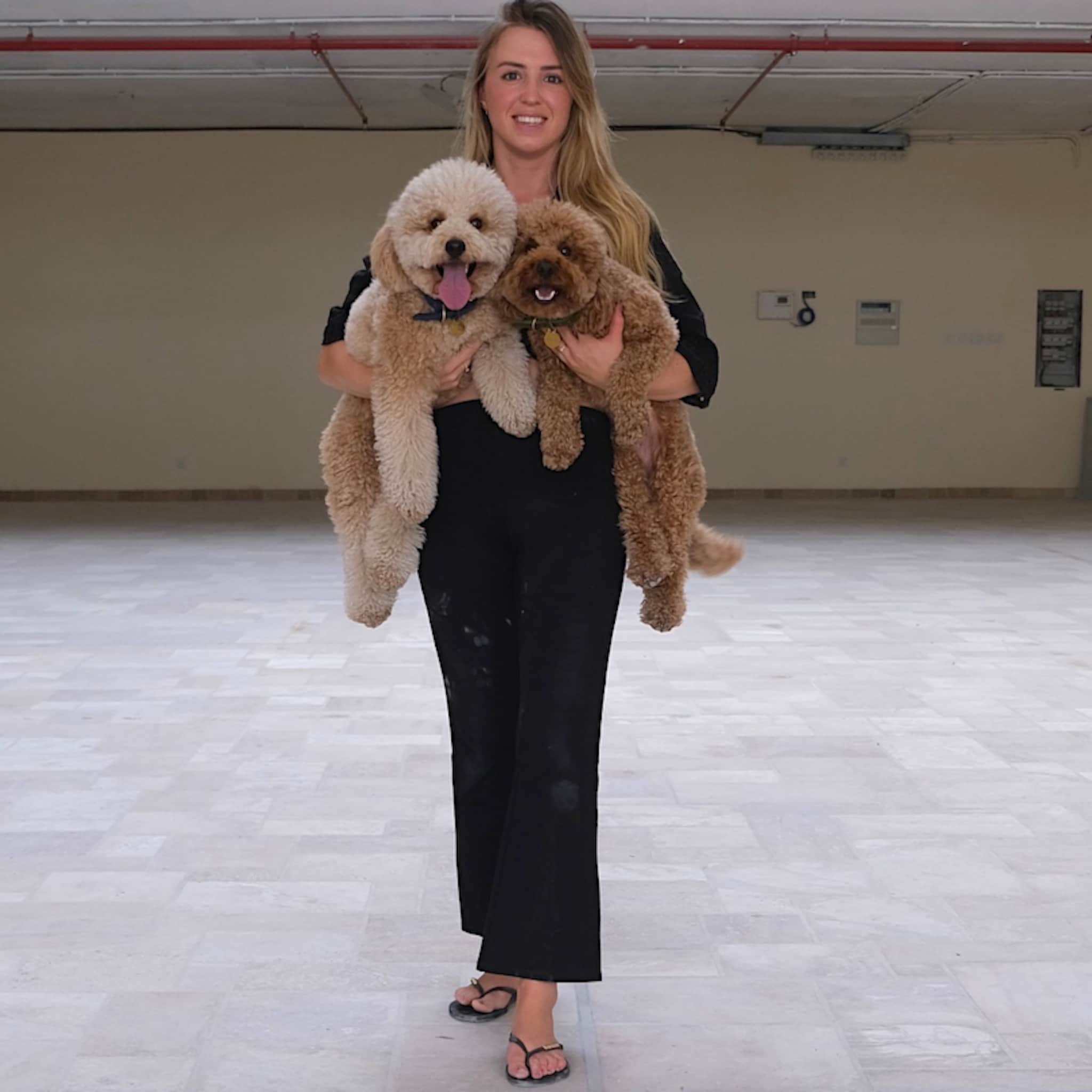 hondenopvang dubai the dog retreat michelle antonius pim lemmen ondernemen