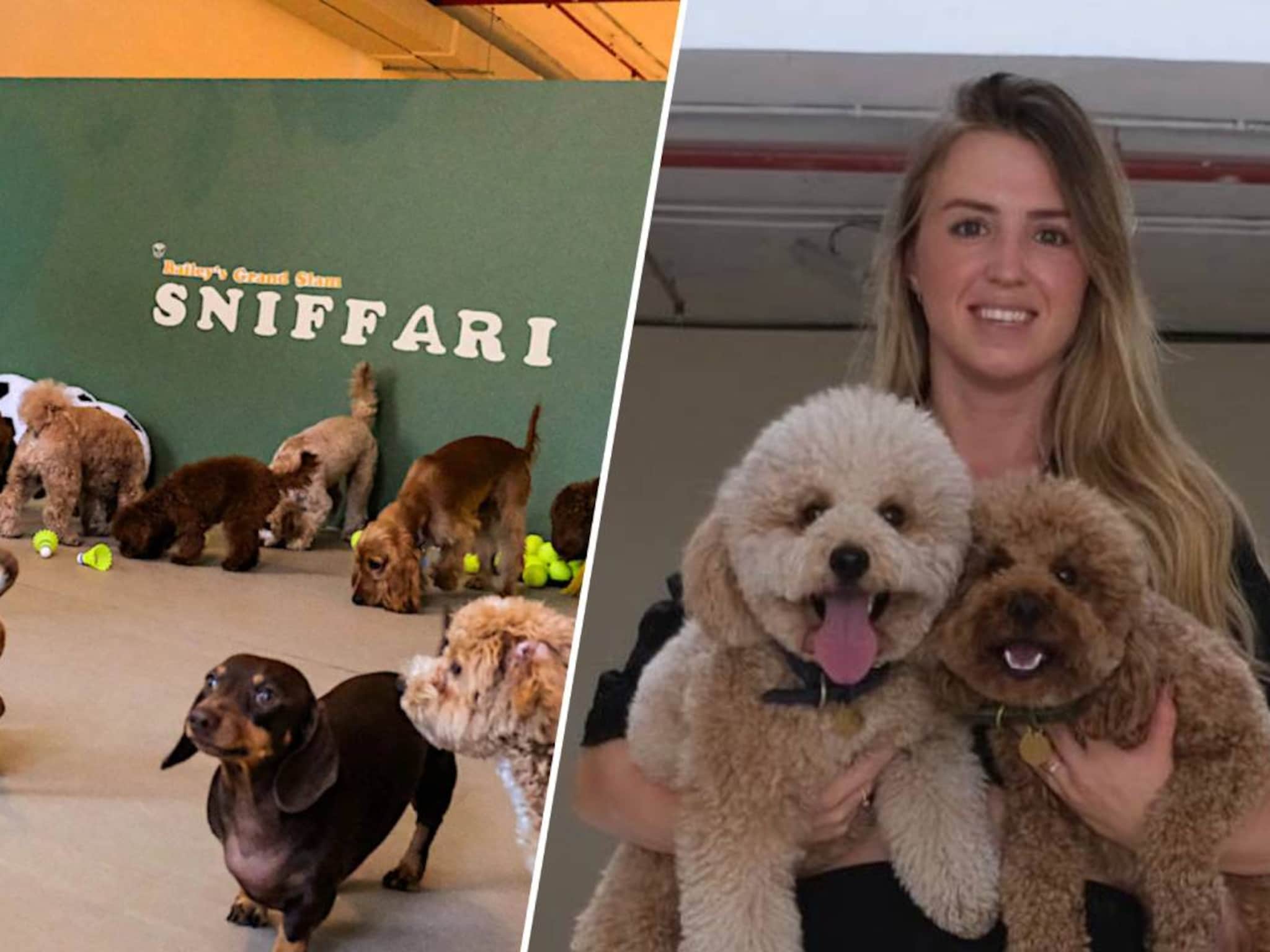 hondenopvang dubai the dog retreat michelle antonius pim lemmen ondernemen