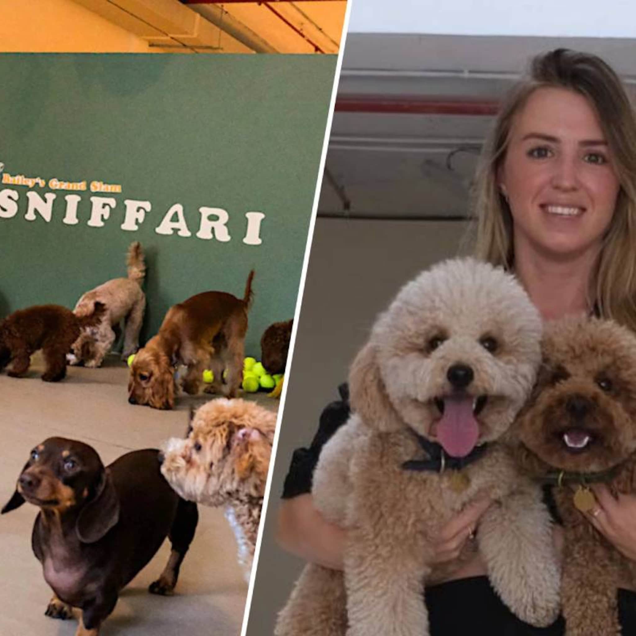 hondenopvang dubai the dog retreat michelle antonius pim lemmen ondernemen