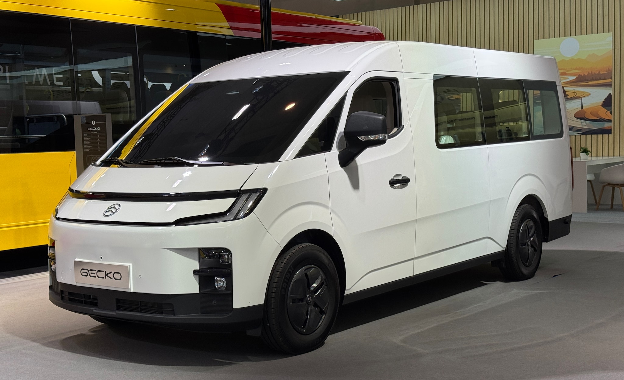 Gecko Gecko | Golden Dragon Gecko