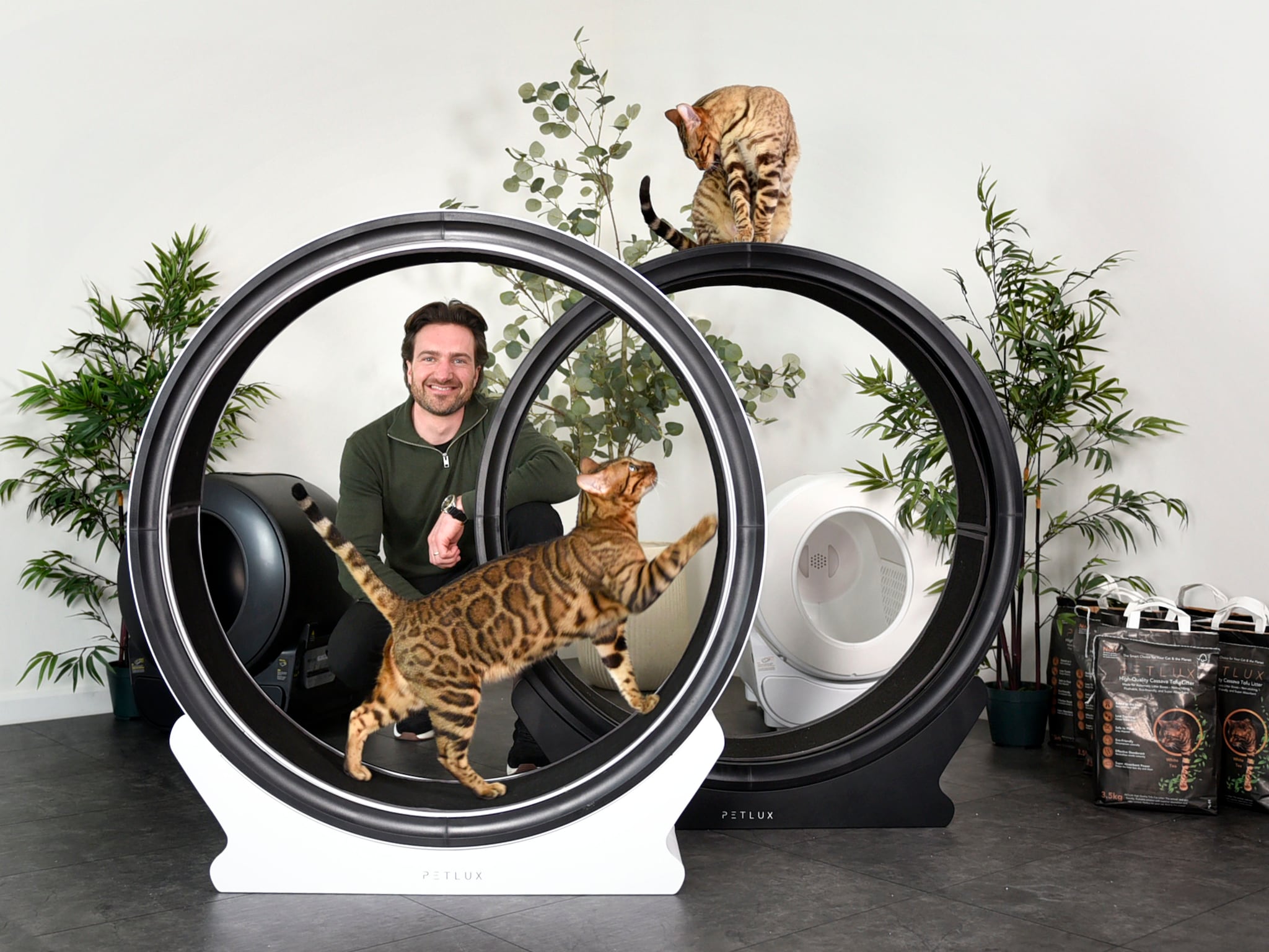 petlux johan nap woerden zelfreinigende kattenbak petservice holding nv