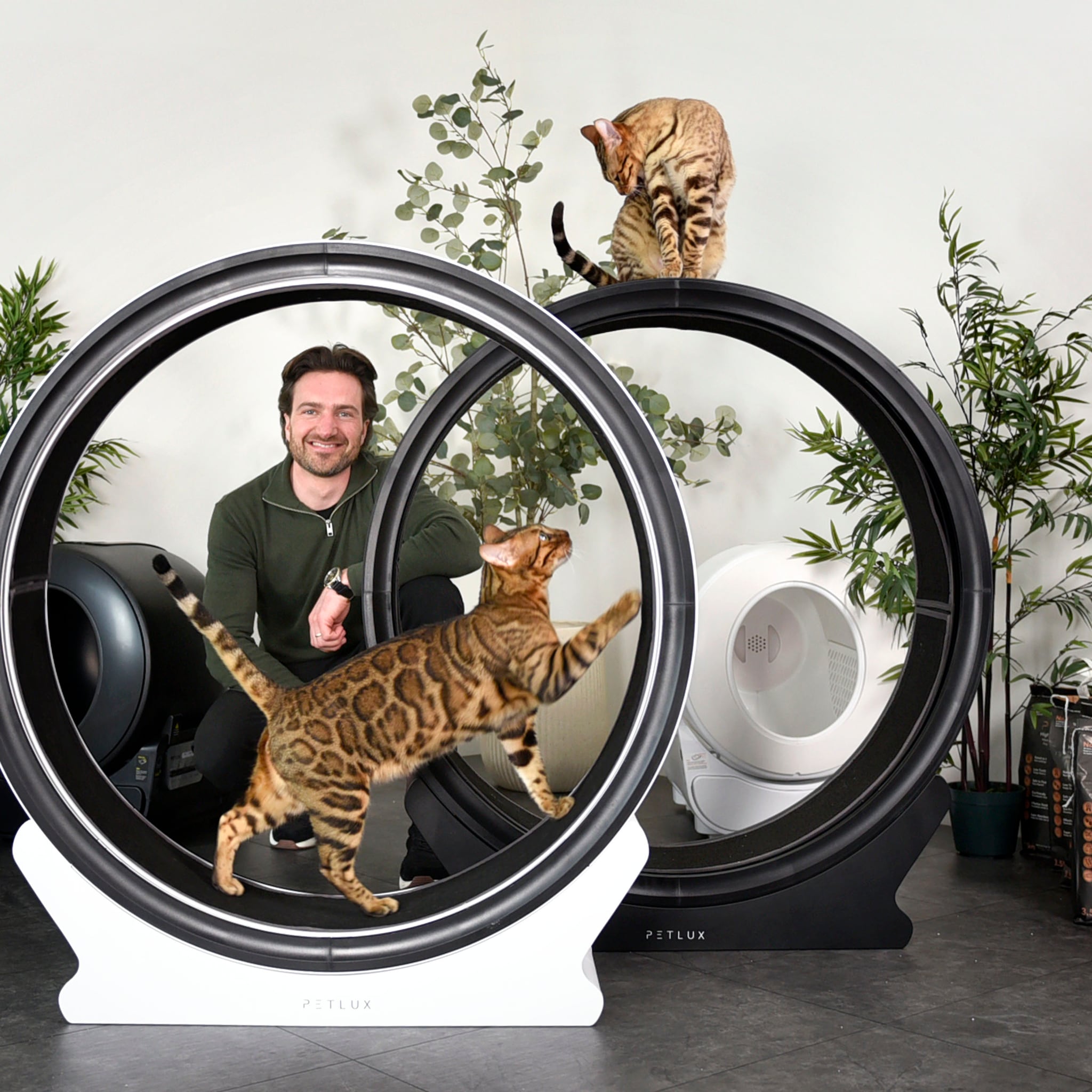 petlux johan nap woerden zelfreinigende kattenbak petservice holding nv