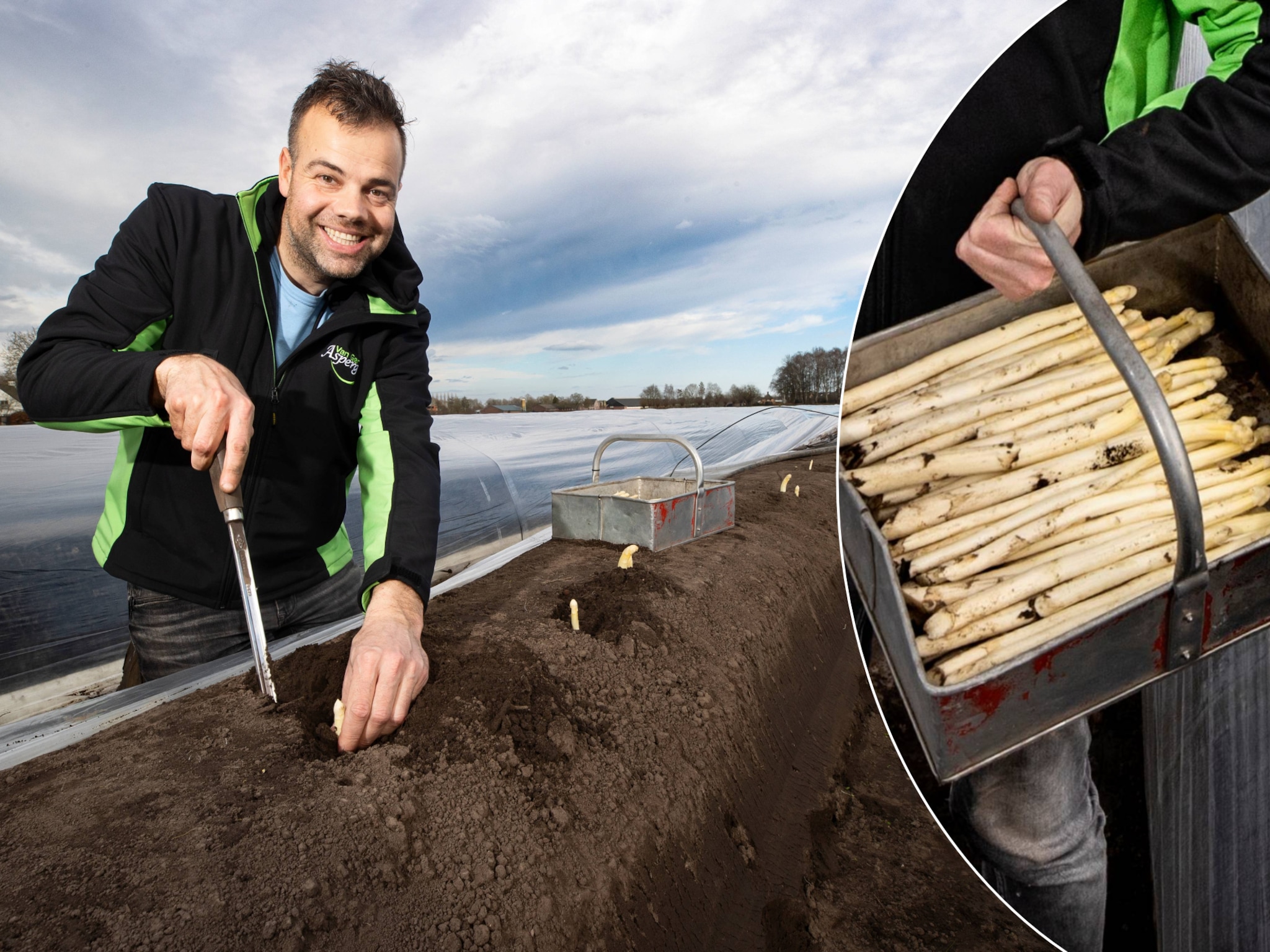 van gerven asperges oirschot witte goud record michelin restaurants jumbo plus