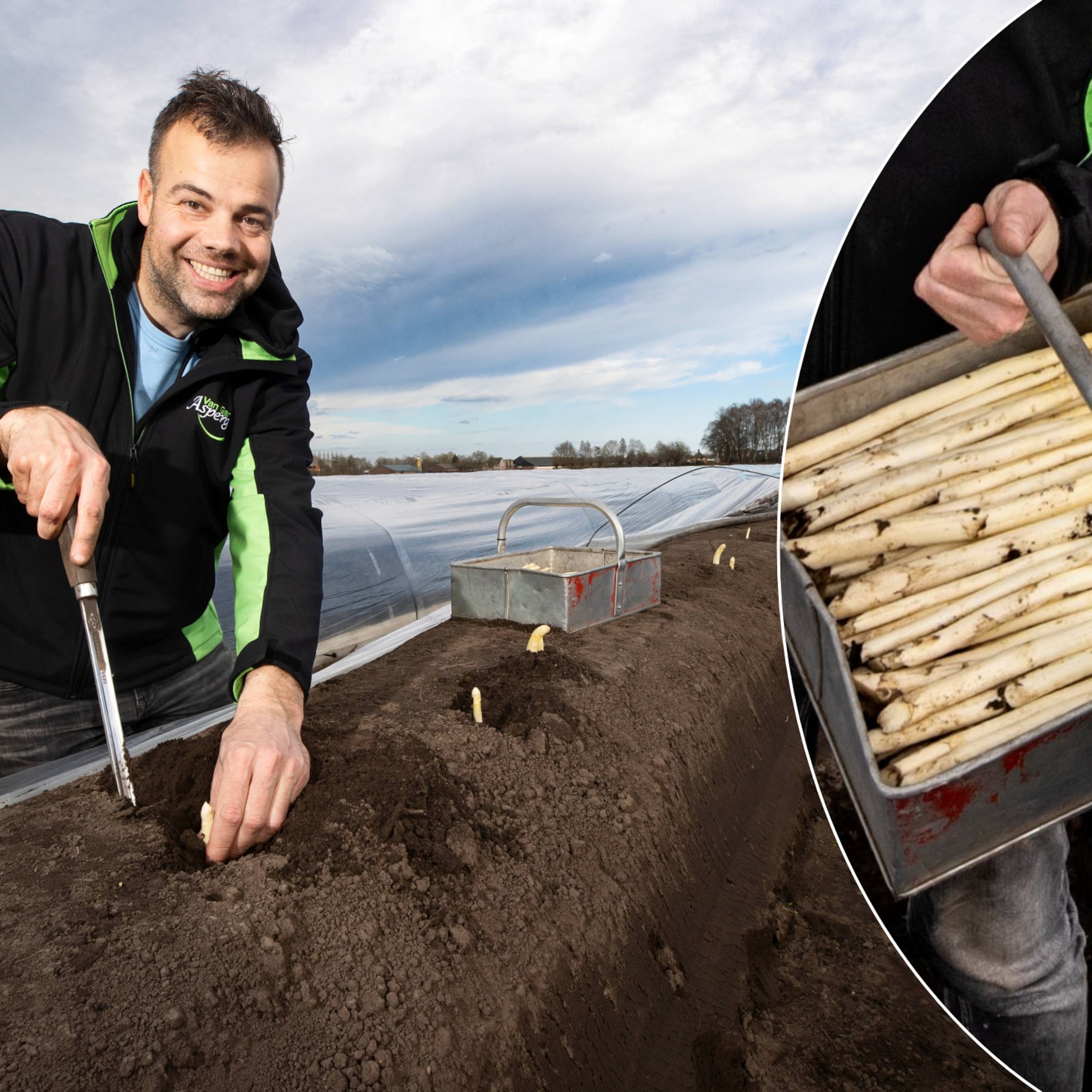 van gerven asperges oirschot witte goud record michelin restaurants jumbo plus