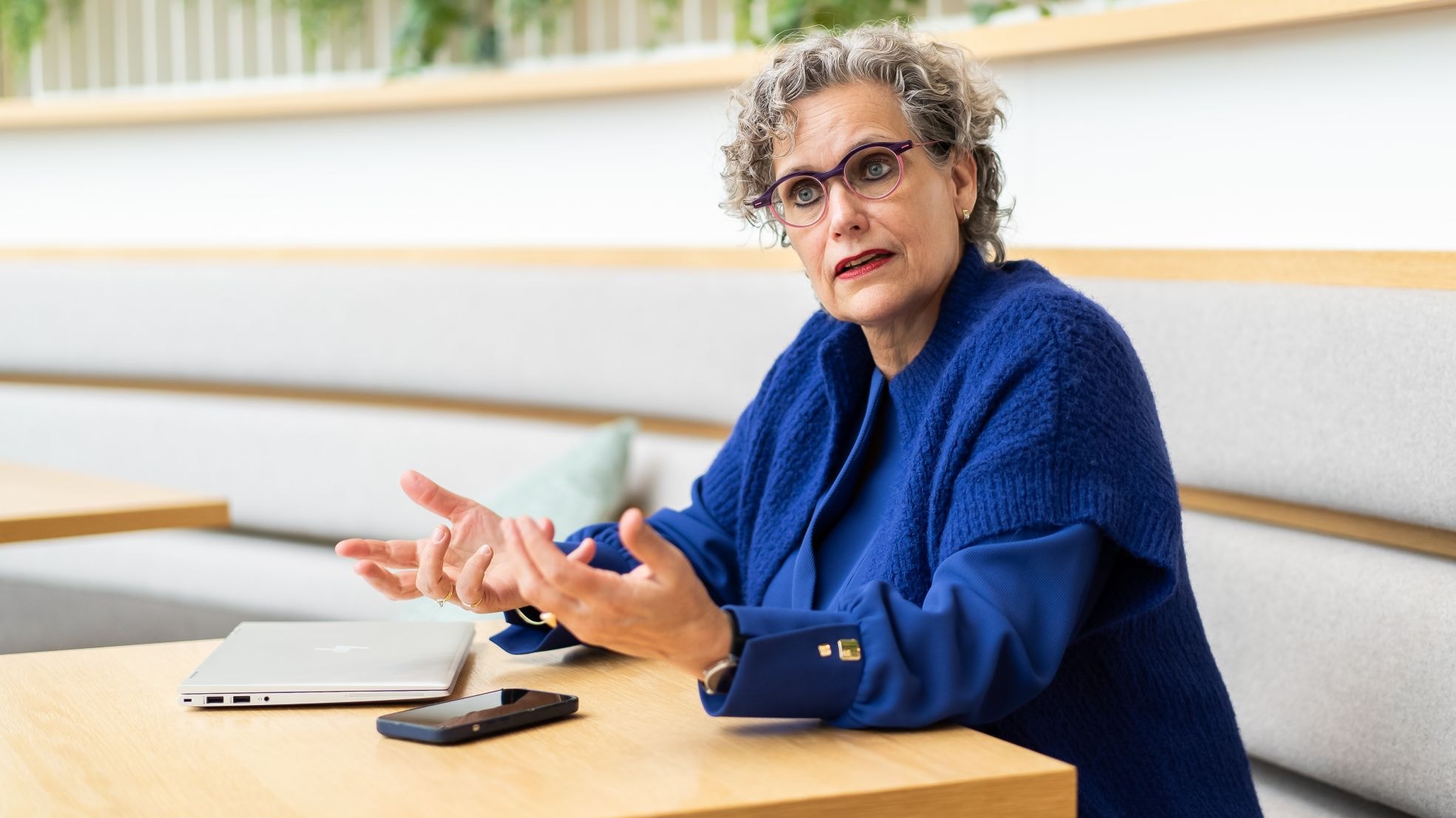 Renate Hemerik, voorzitter van VNA. Renate Hemerik, voorzitter van VNA. Eigen foto