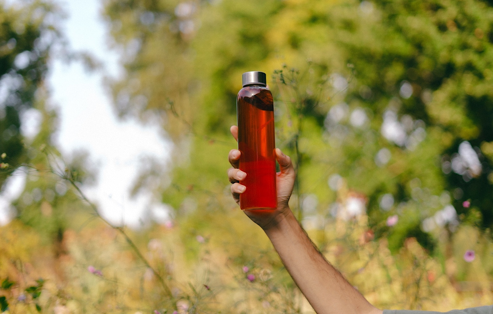 Mo Qaem bouwt in Nederland succesvol aan een botanisch drankmerk. Renata Chede We Are The ReGeneration | Mo Qaem bouwt in Nederland succesvol aan een botanisch drankmerk.