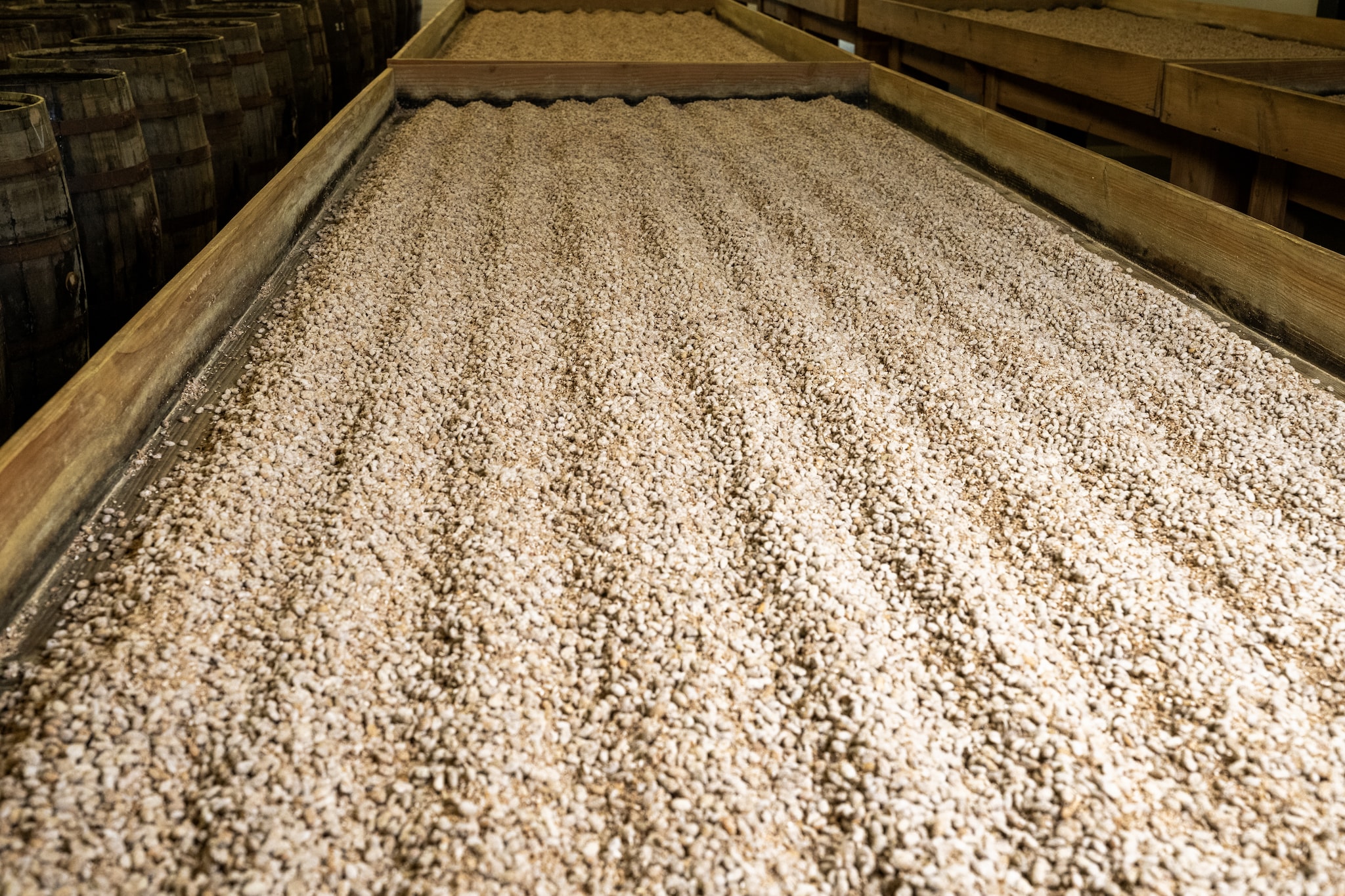 De Tomasu Brewery op Rotterdam-Zuid.  De Tomasu Brewery op Rotterdam-Zuid. Foto: Frank de Roo