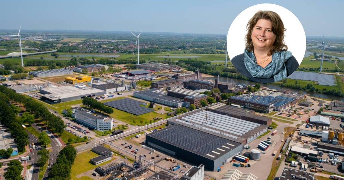 15.000 ondernemers wachten op stroom, op dit bedrijventerrein gloort hoop: ‘Kan gigantische doorbraa