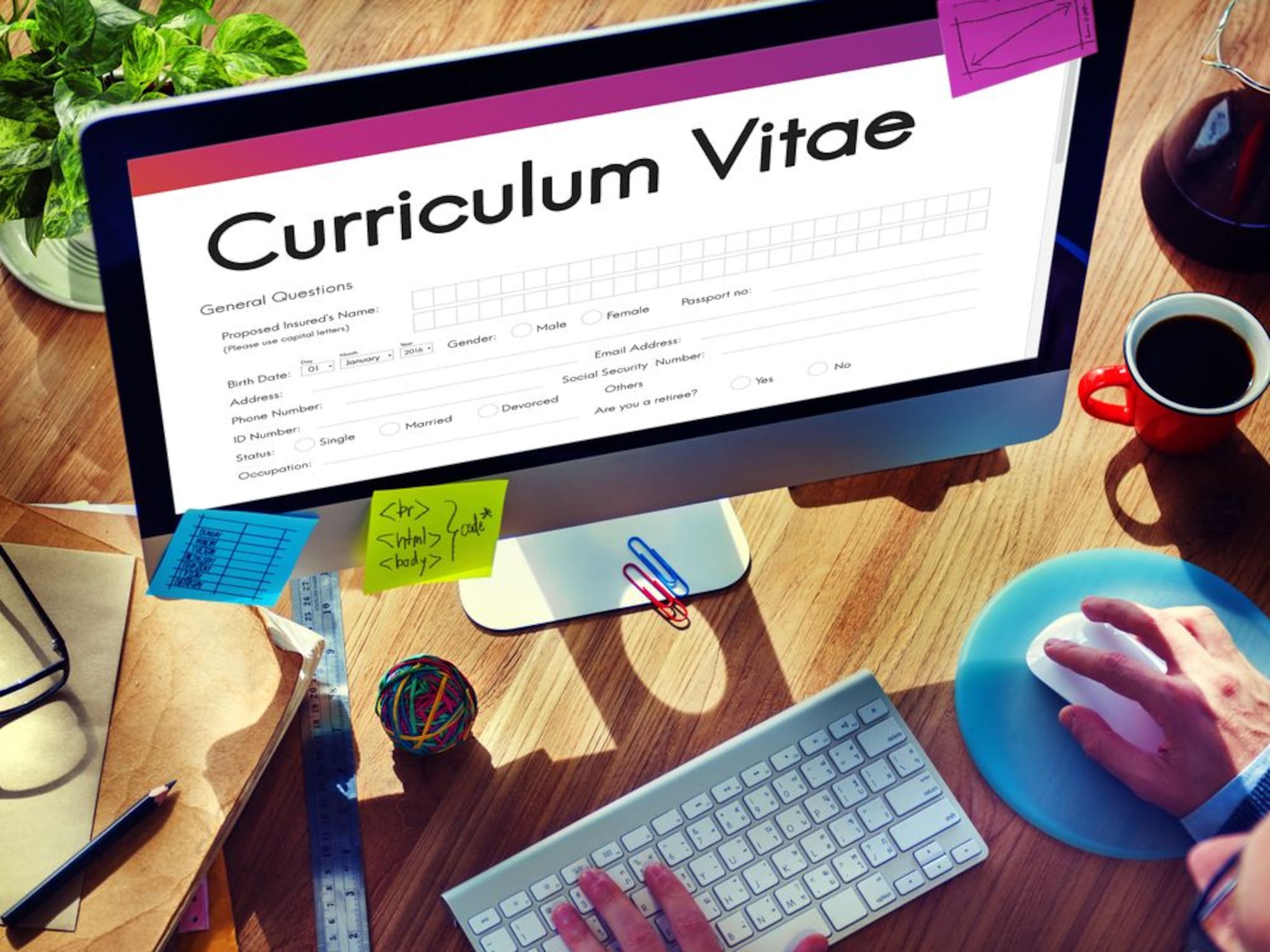 waarom zzp ers hun cv steeds opnieuw moeten uitvinden en hoe een ondernemer daar een business van maakt
