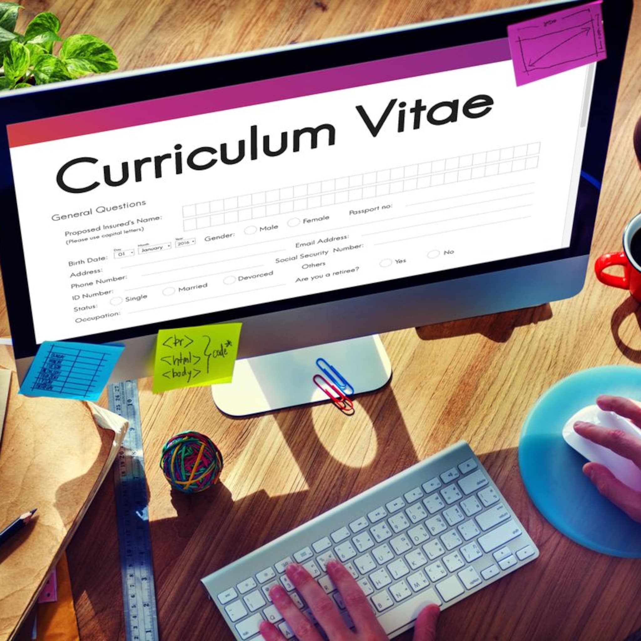 waarom zzp ers hun cv steeds opnieuw moeten uitvinden en hoe een ondernemer daar een business van maakt