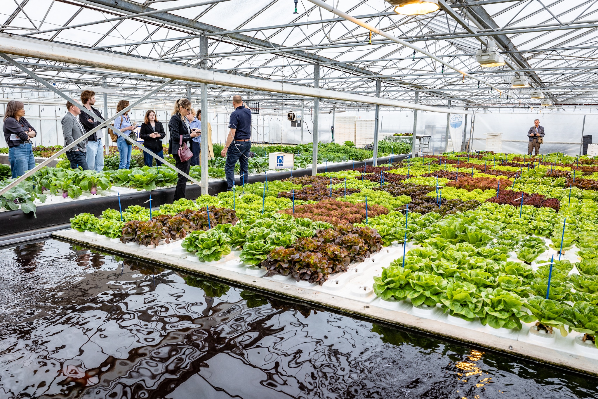 Een groep journalisten, grotendeels uit het buitenland, krijgt een rondleiding. Foto: Nico Schouten