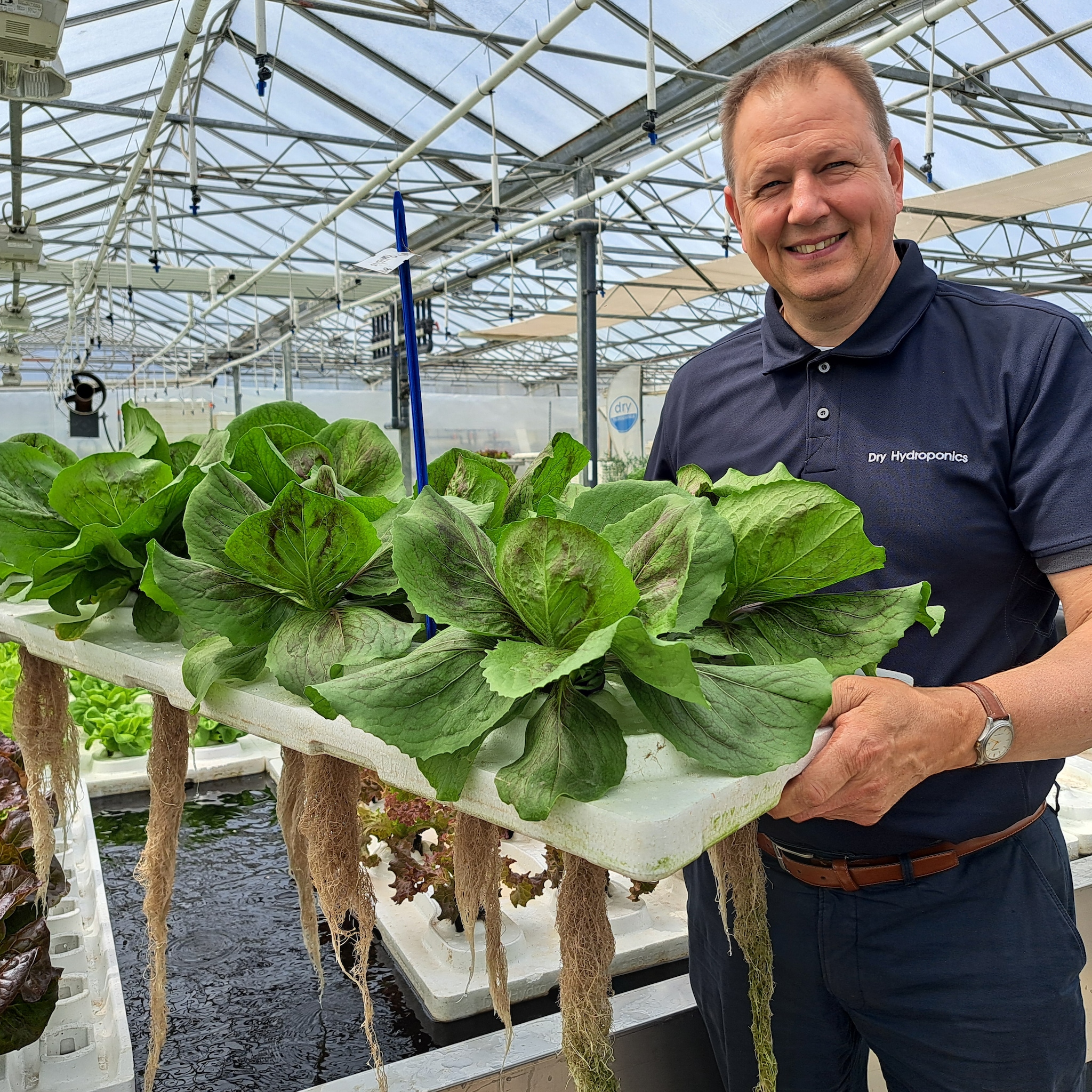chris noordam topkrop sla kweker schipluiden ottolenghi