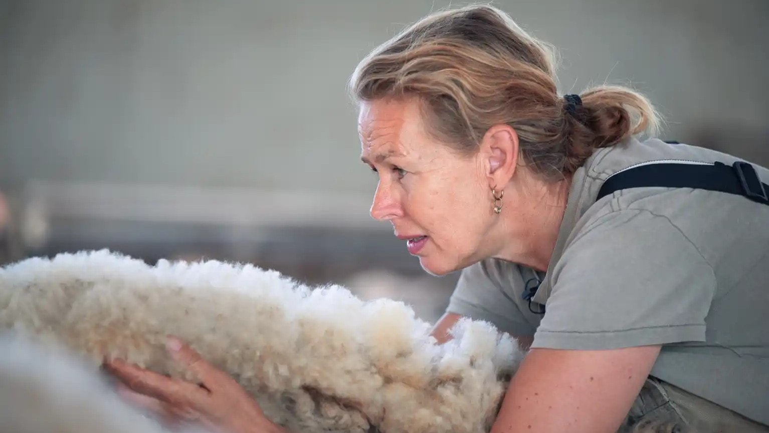 Modeondernemer Reina Ovinge (59) wil de Nederlandse wolindustrie nieuw leven inblazen.