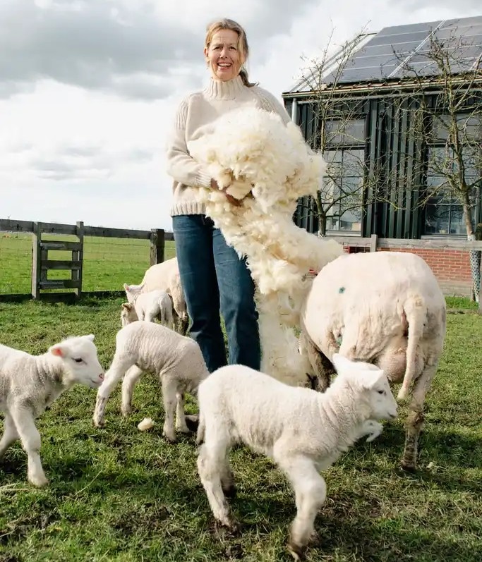 Reina tussen haar schapen en lammetjes. Eigen foto