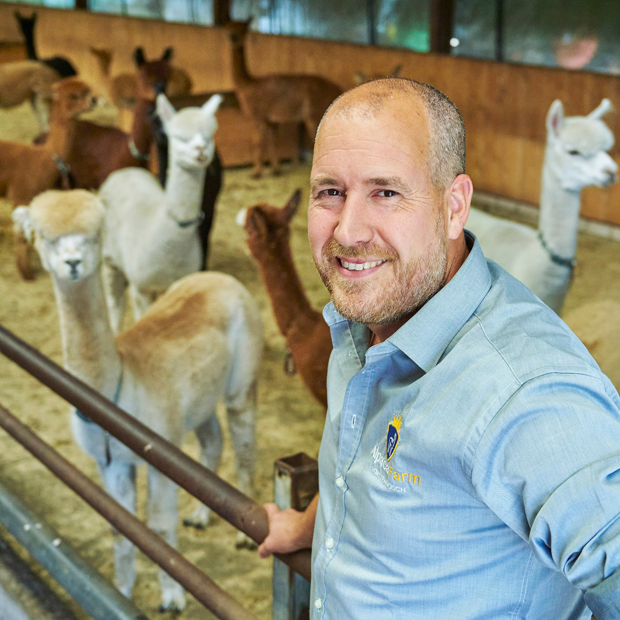 alpacafarm vorstenbosch we zouden onze kleinzakelijke aansluiting graag behouden